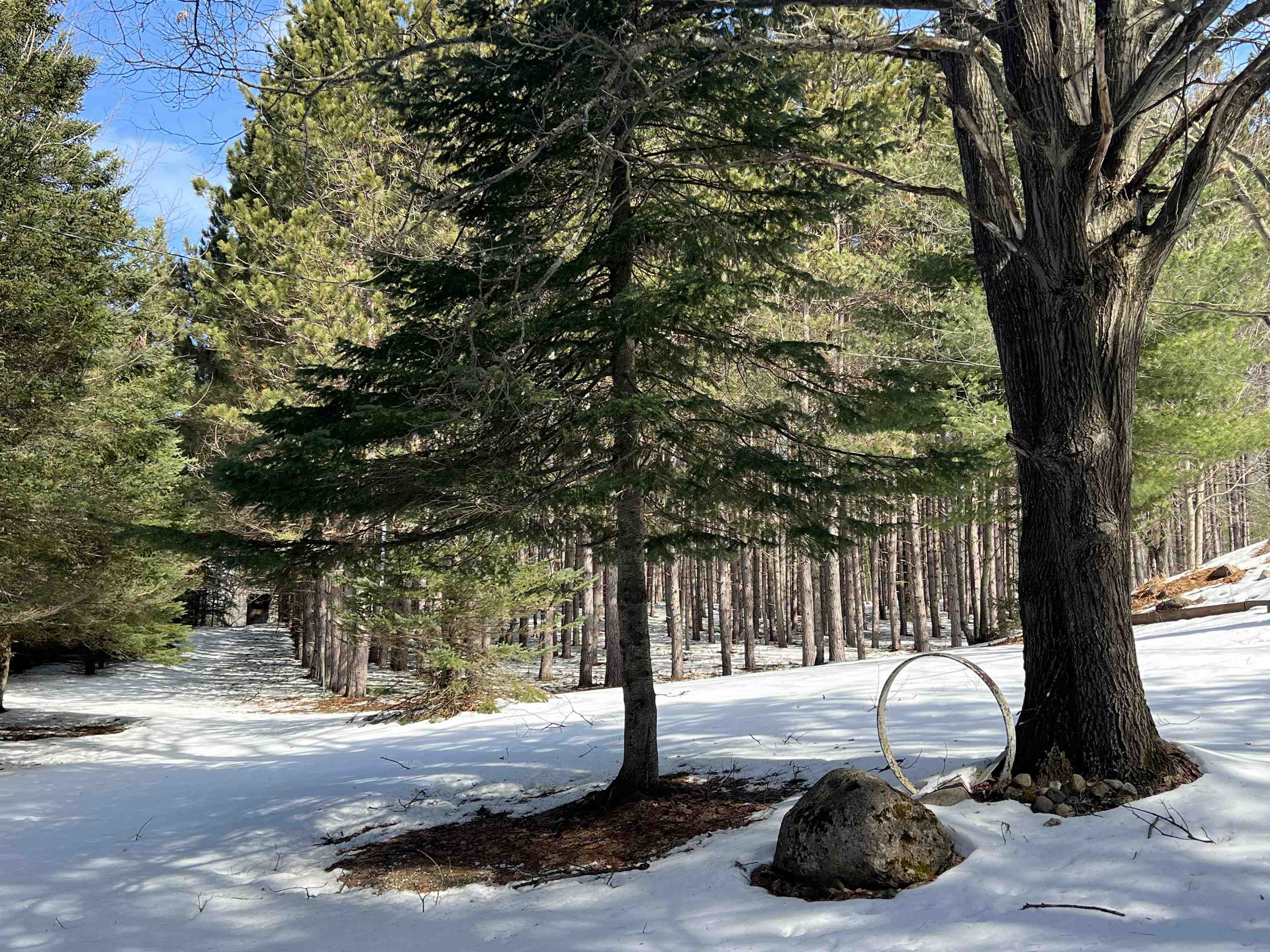 0319 Lund Road, Fife Lake, MI, 49633