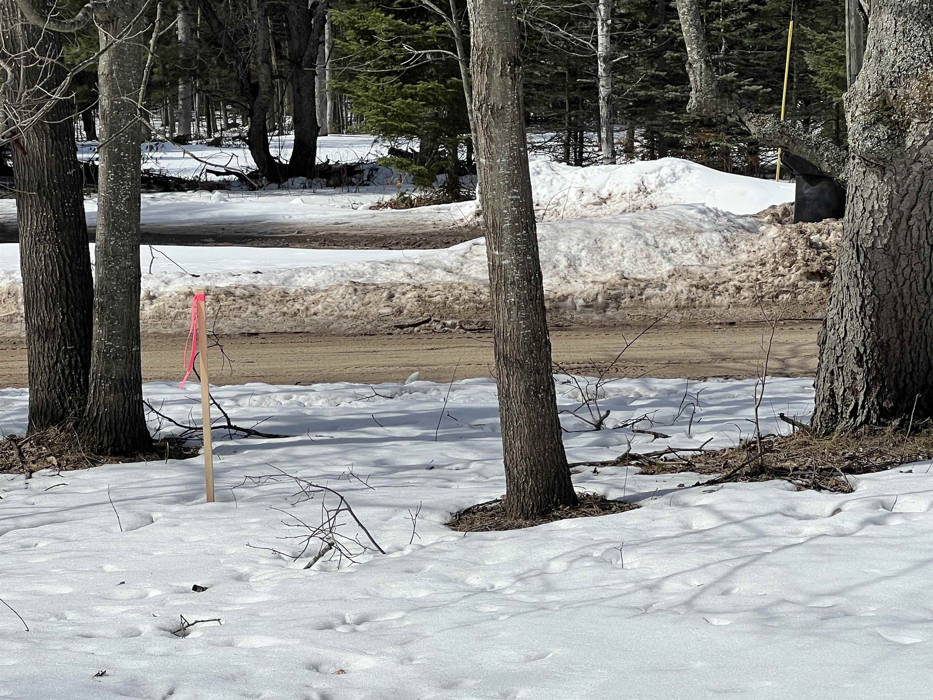 0319 Lund Road, Fife Lake, MI, 49633