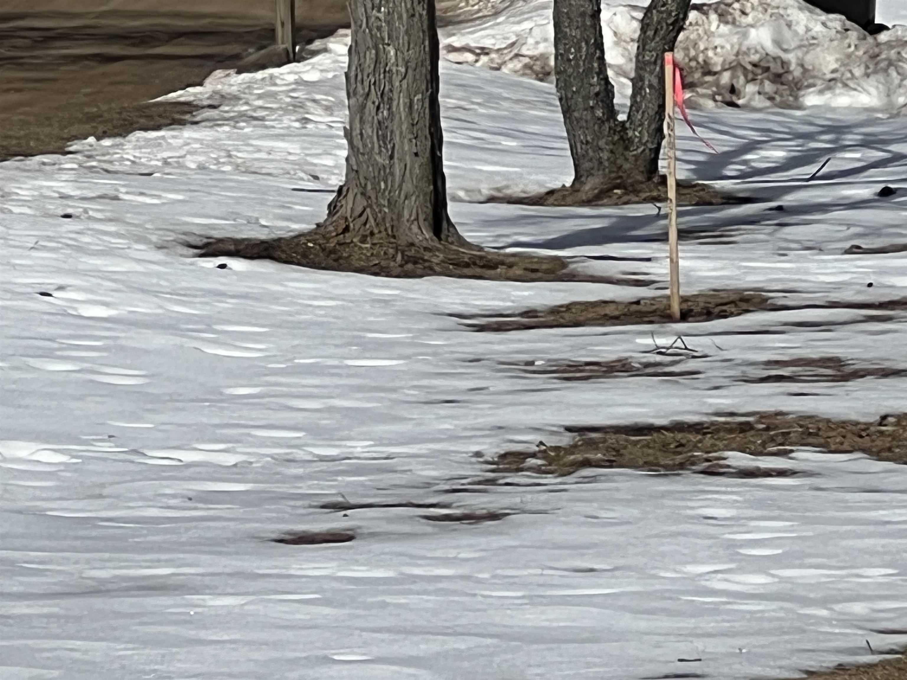 0319 Lund Road, Fife Lake, MI, 49633