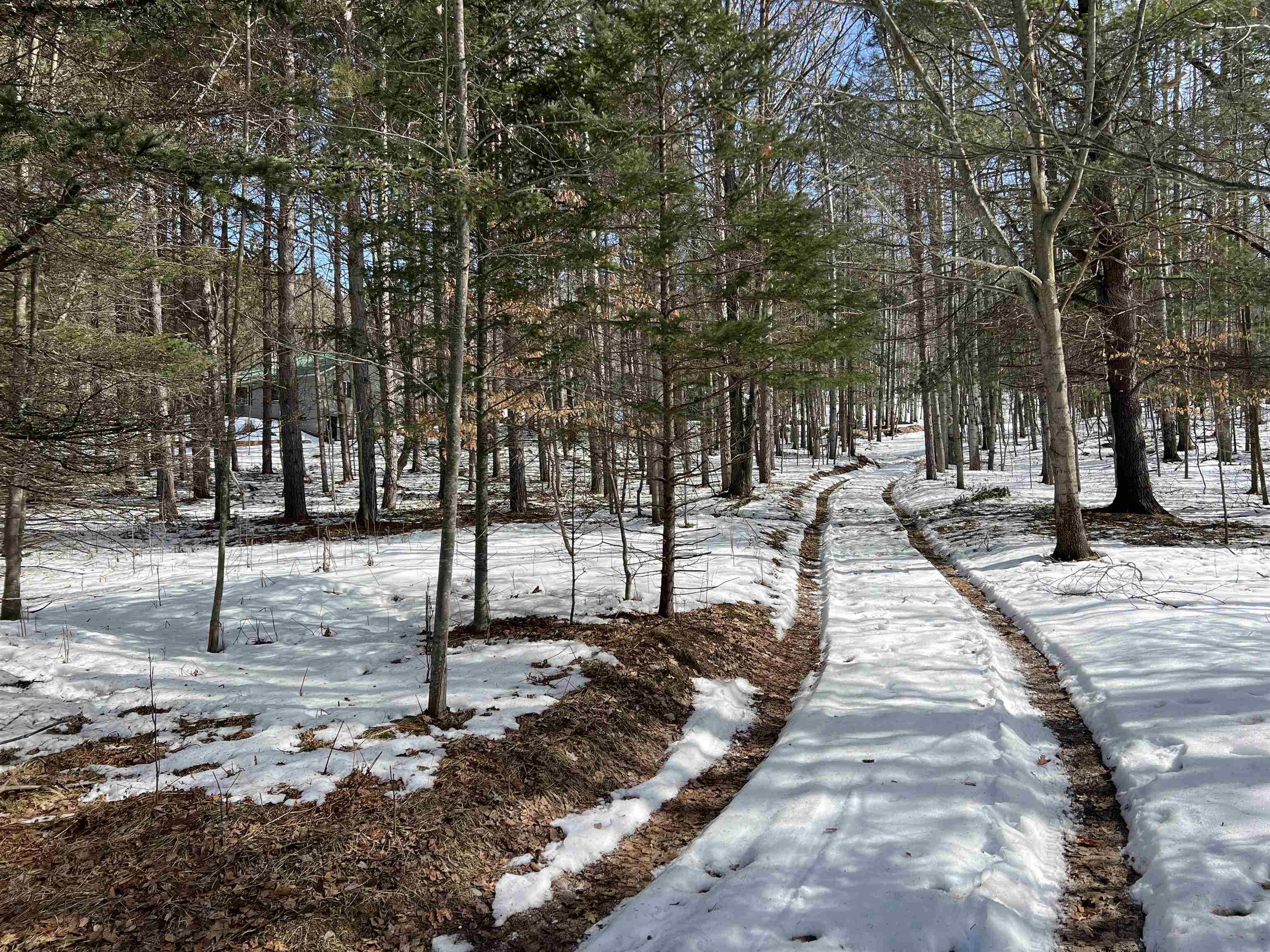 0319 Lund Road, Fife Lake, MI, 49633