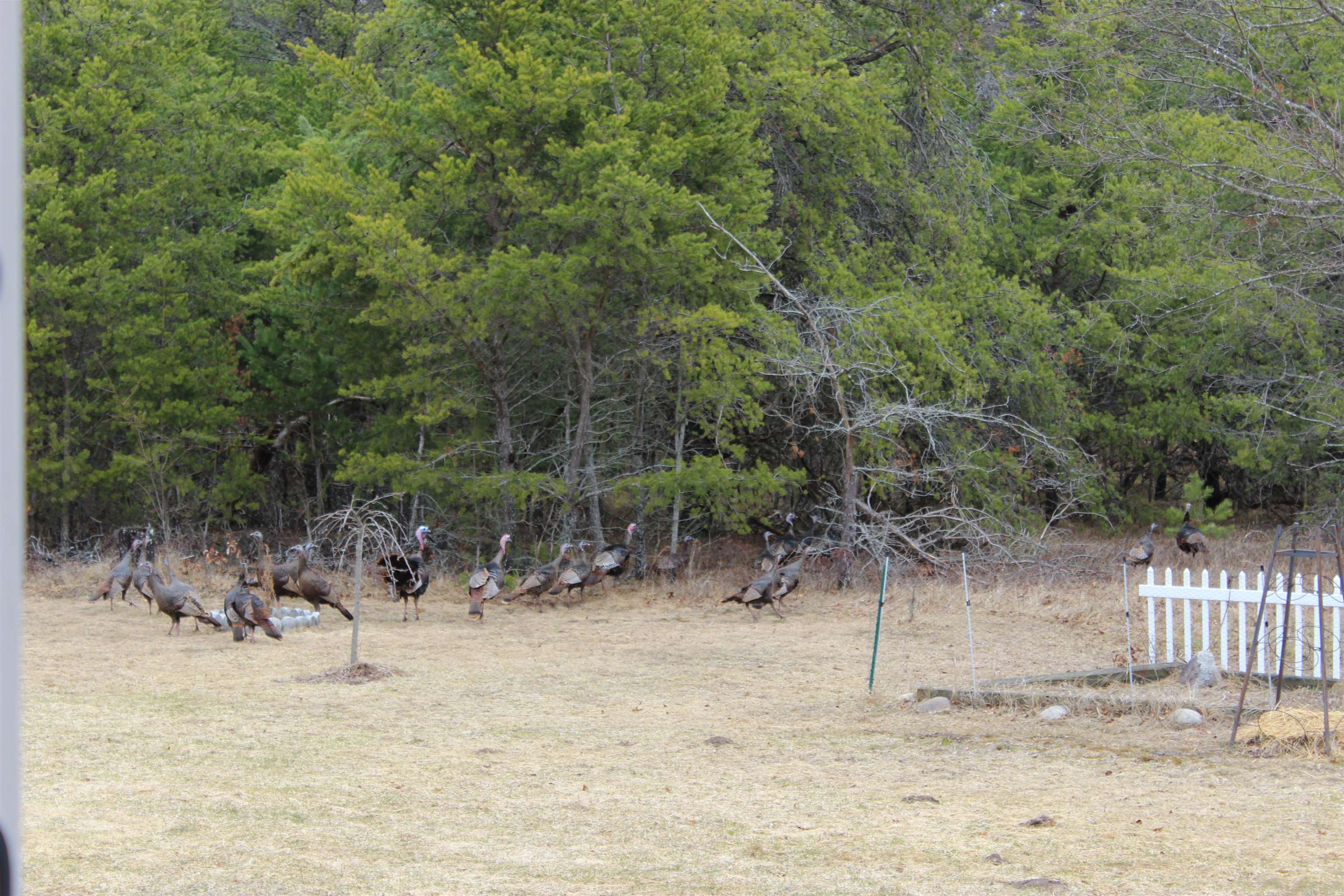 3101 Kay E Lane, West Branch, MI, 48661