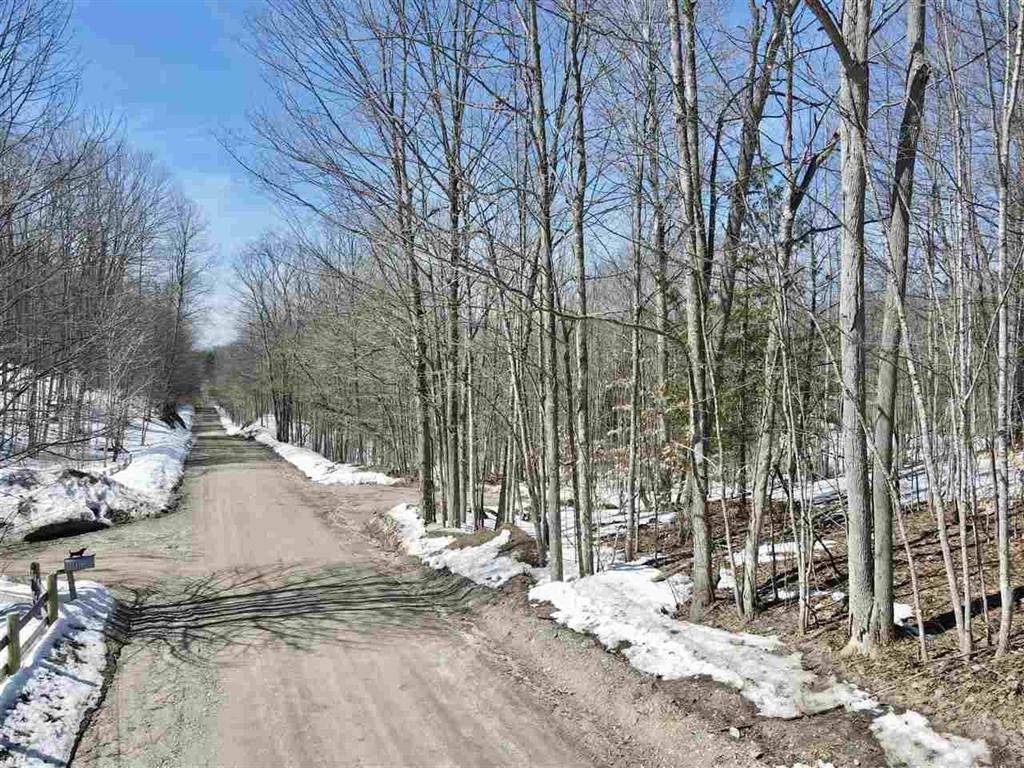 TBD Pesek Road, East Jordan, MI, 49727