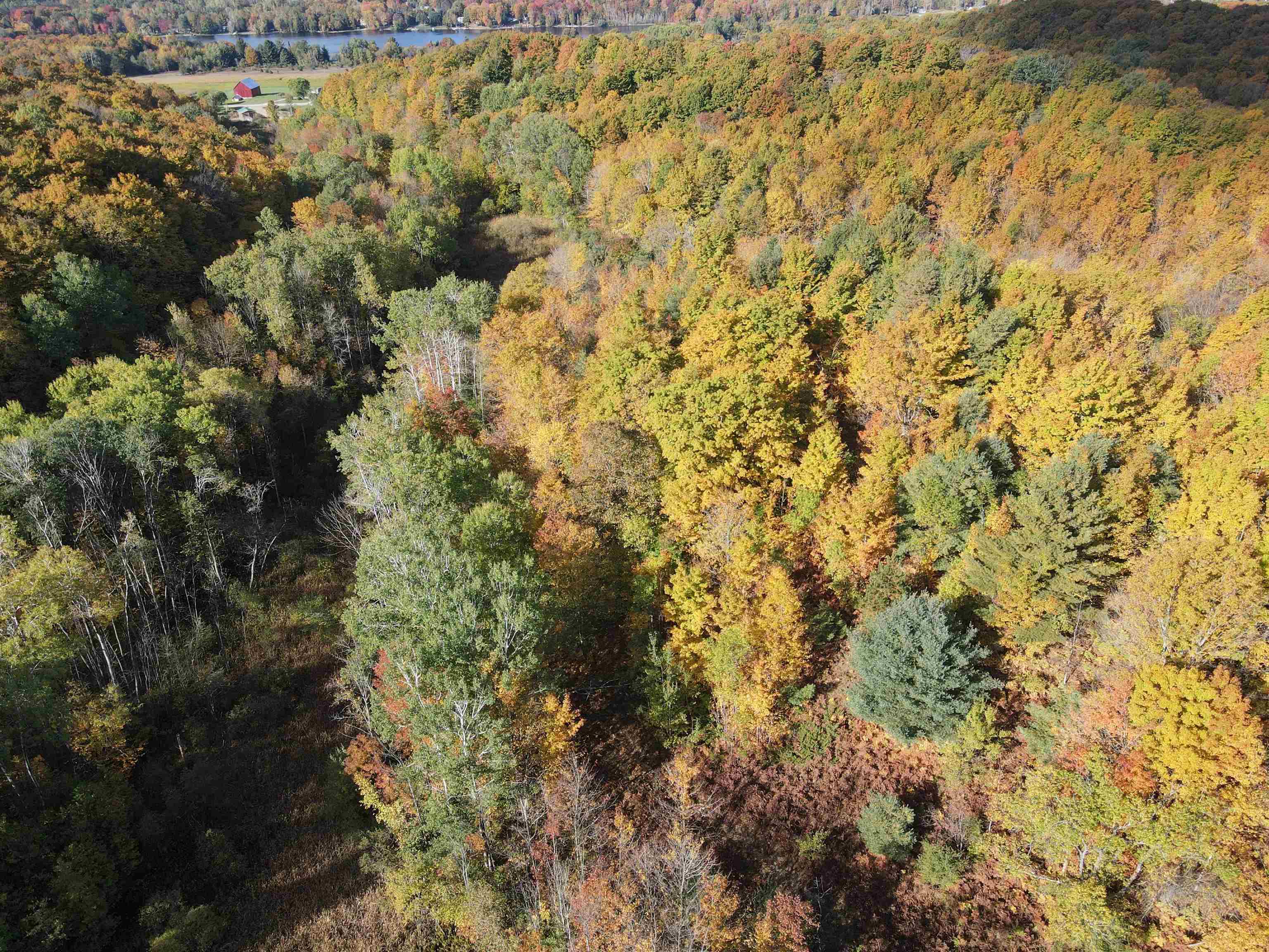 Photo 2 of Land for sale at Tbd Pesek Rd, East Jordan, MI 49727 | MLS# 80066583 | Listing updated on 2026-10-08