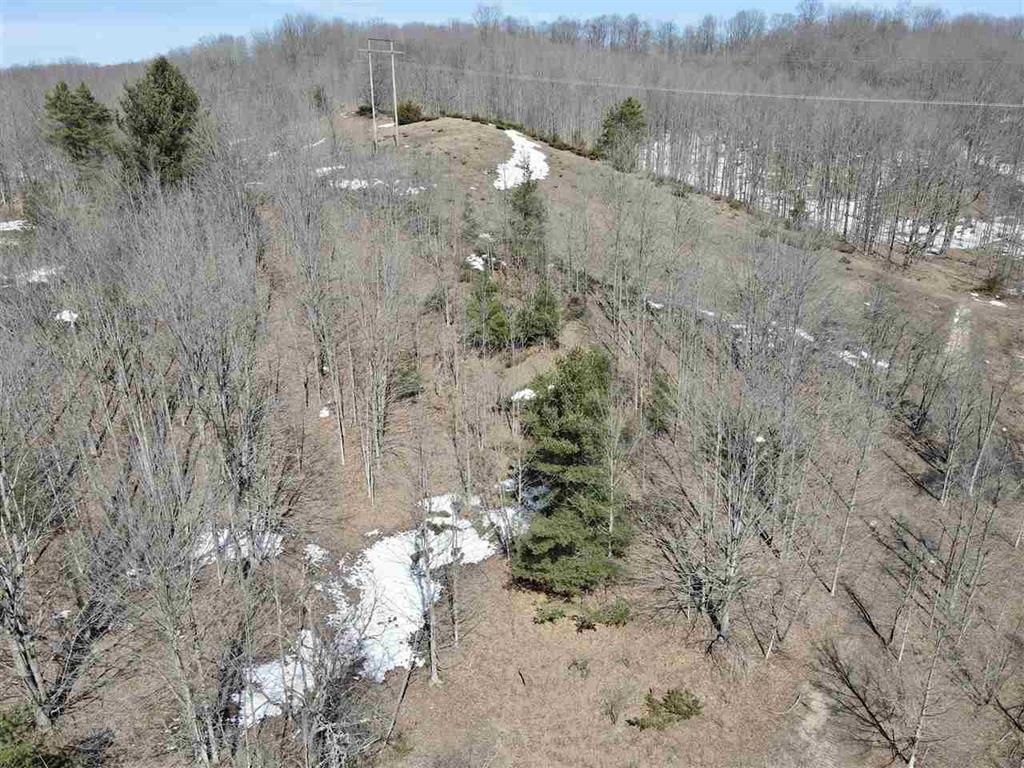 TBD Pesek Road, East Jordan, MI, 49727