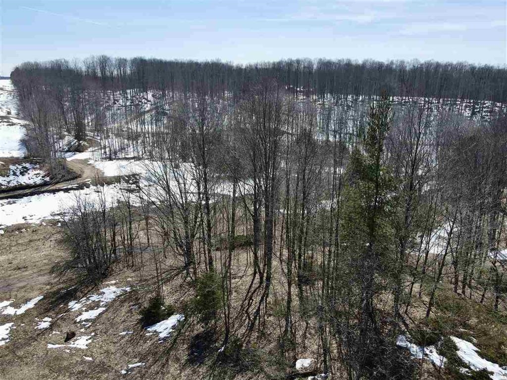 TBD Pesek Road, East Jordan, MI, 49727