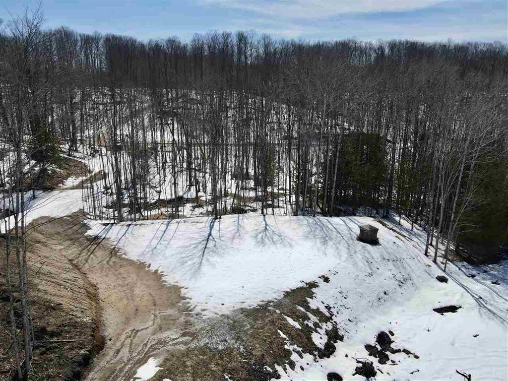 TBD Pesek Road, East Jordan, MI, 49727