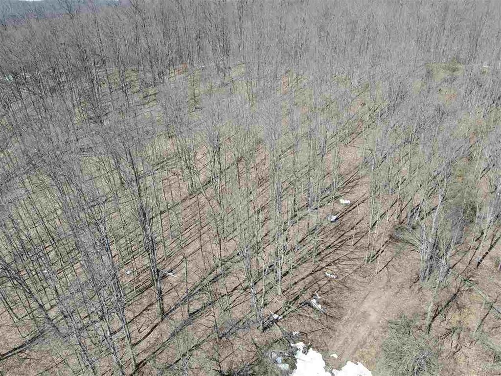 TBD Pesek Road, East Jordan, MI, 49727