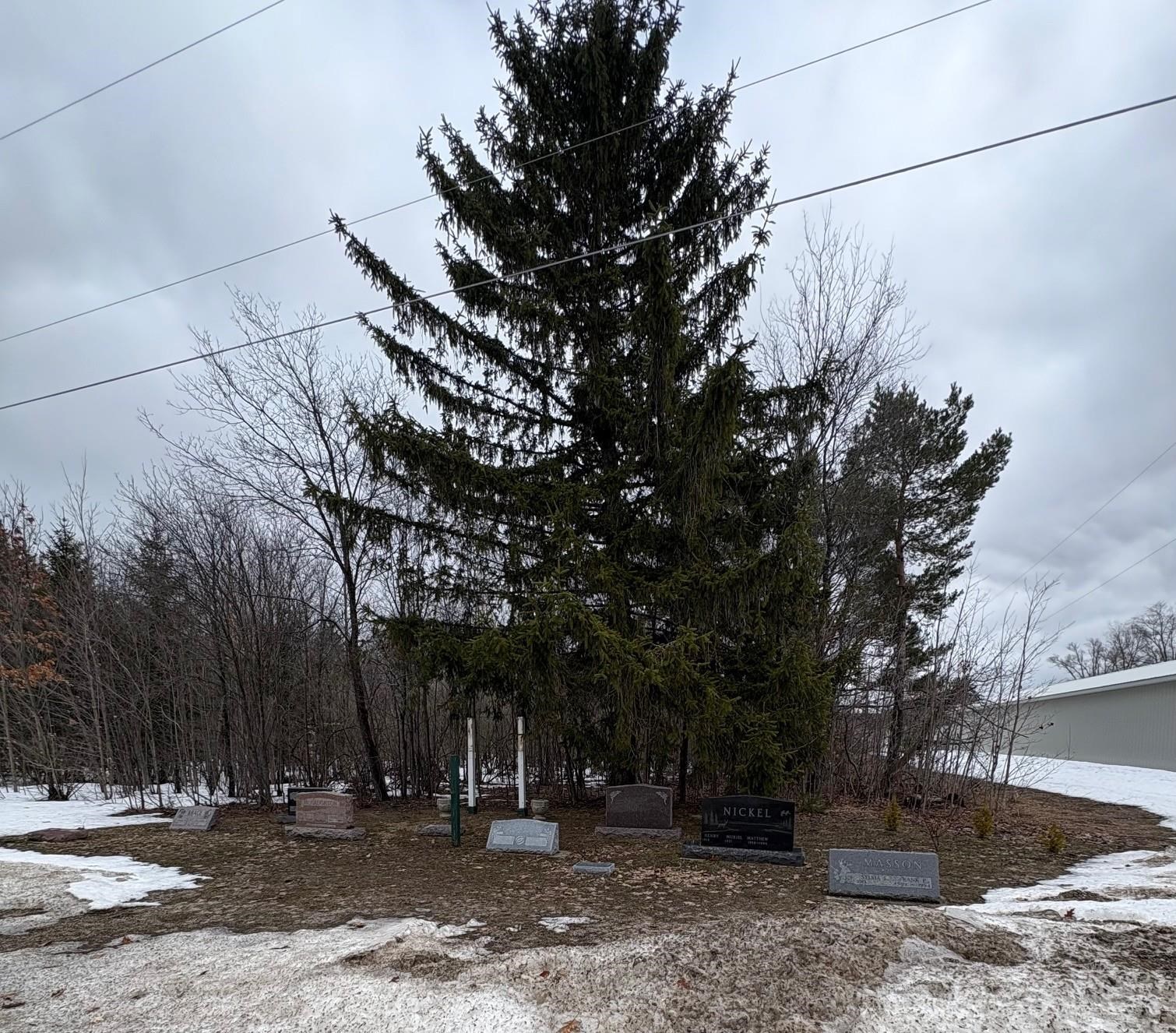 7000 Surrey Drive, Onsted, MI, 49265