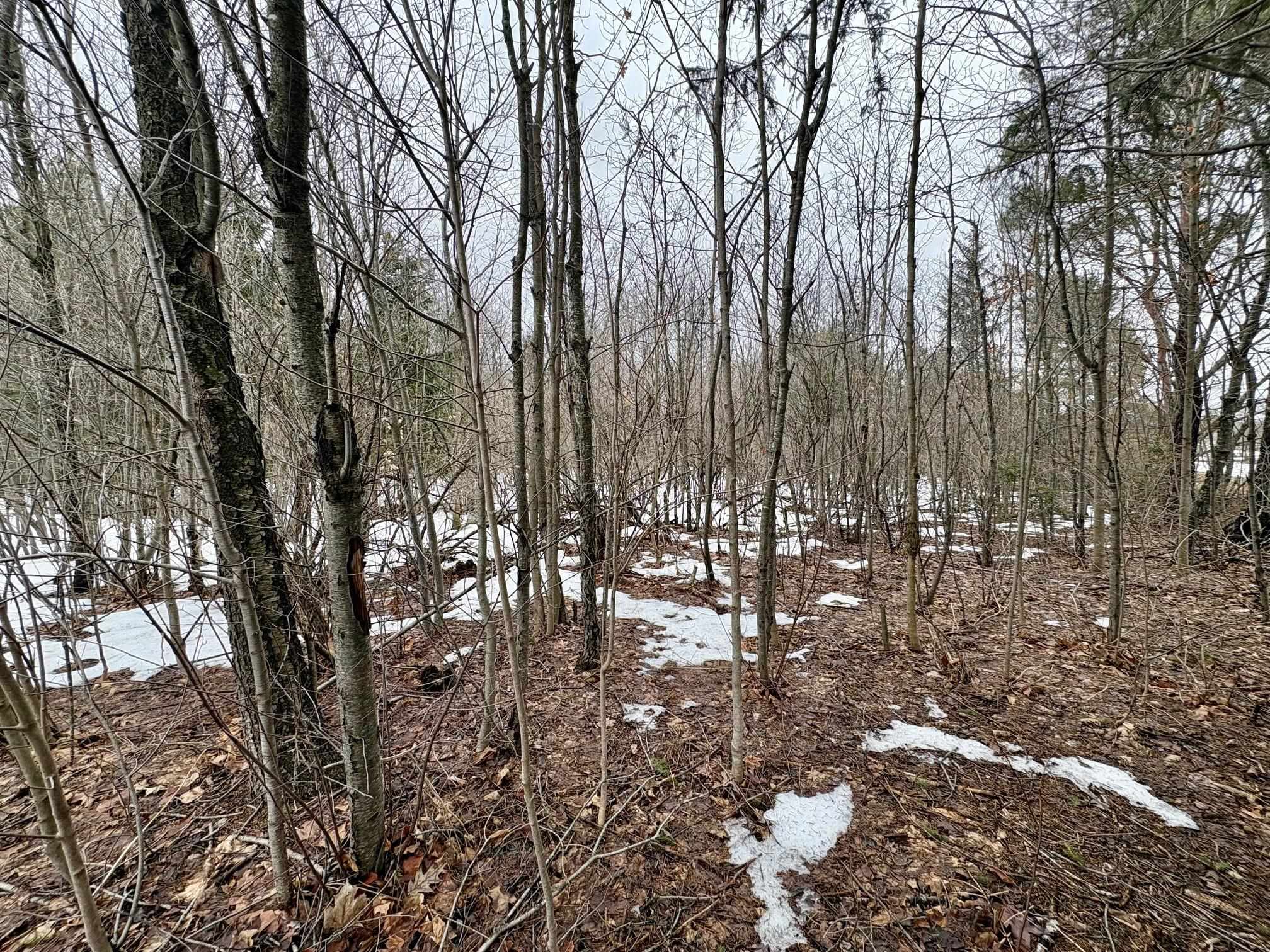 00 Cedar River Road, Mancelona, MI, 49659