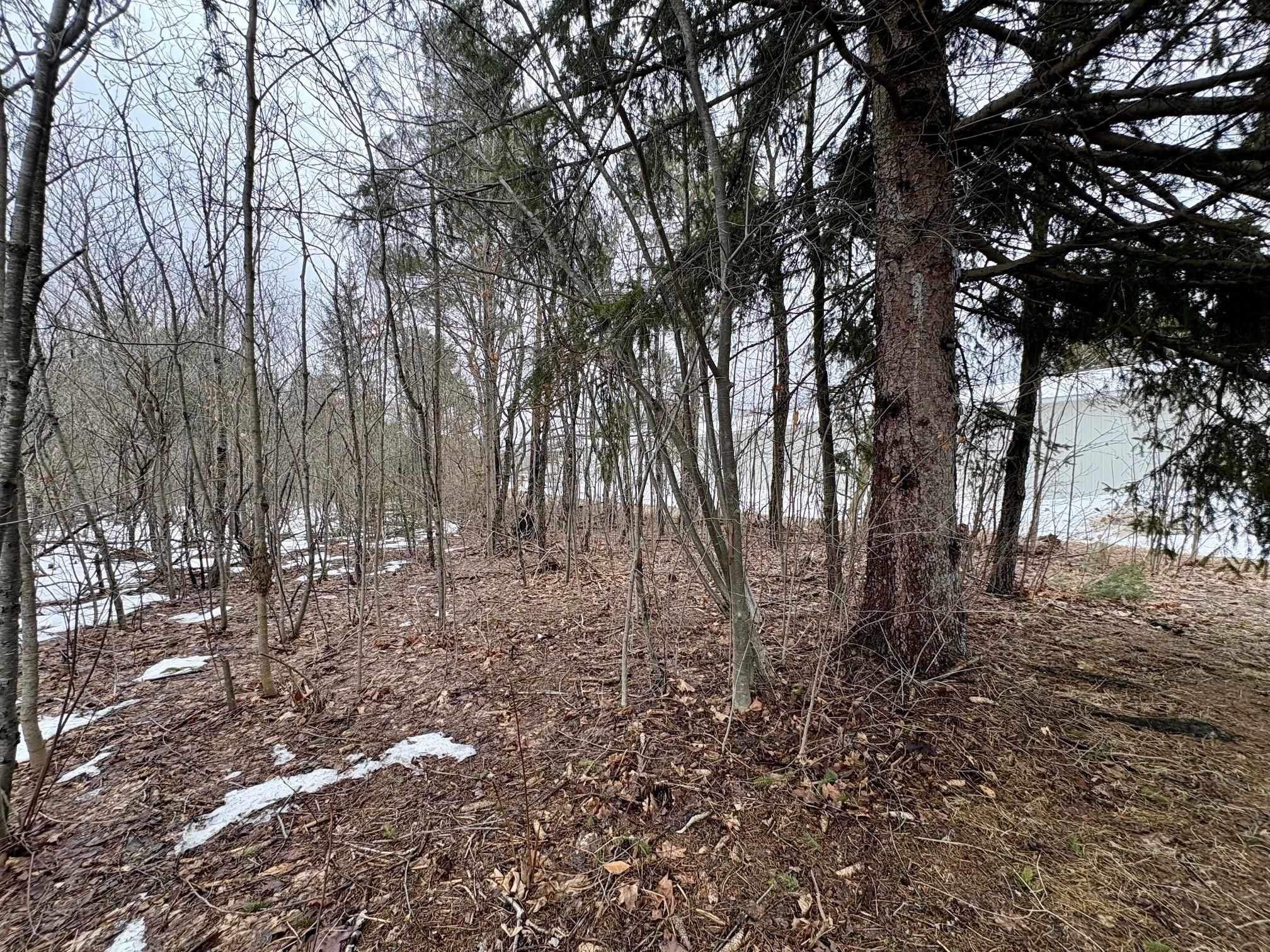 00 Cedar River Road, Mancelona, MI, 49659