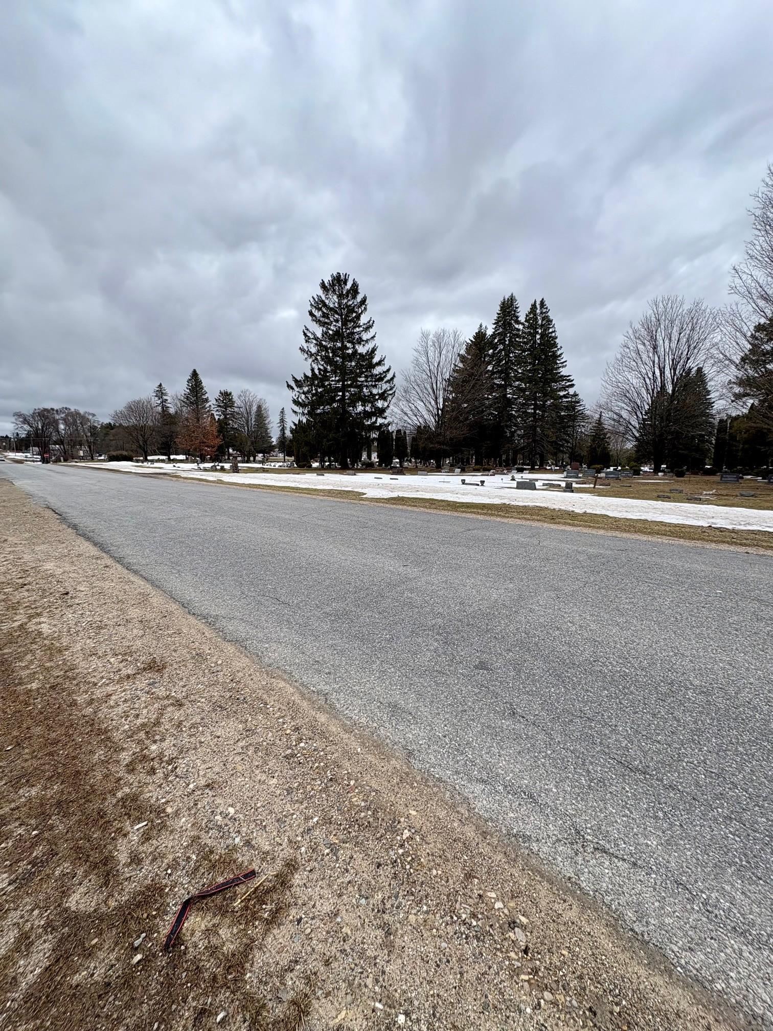 00 Cedar River Road, Mancelona, MI, 49659