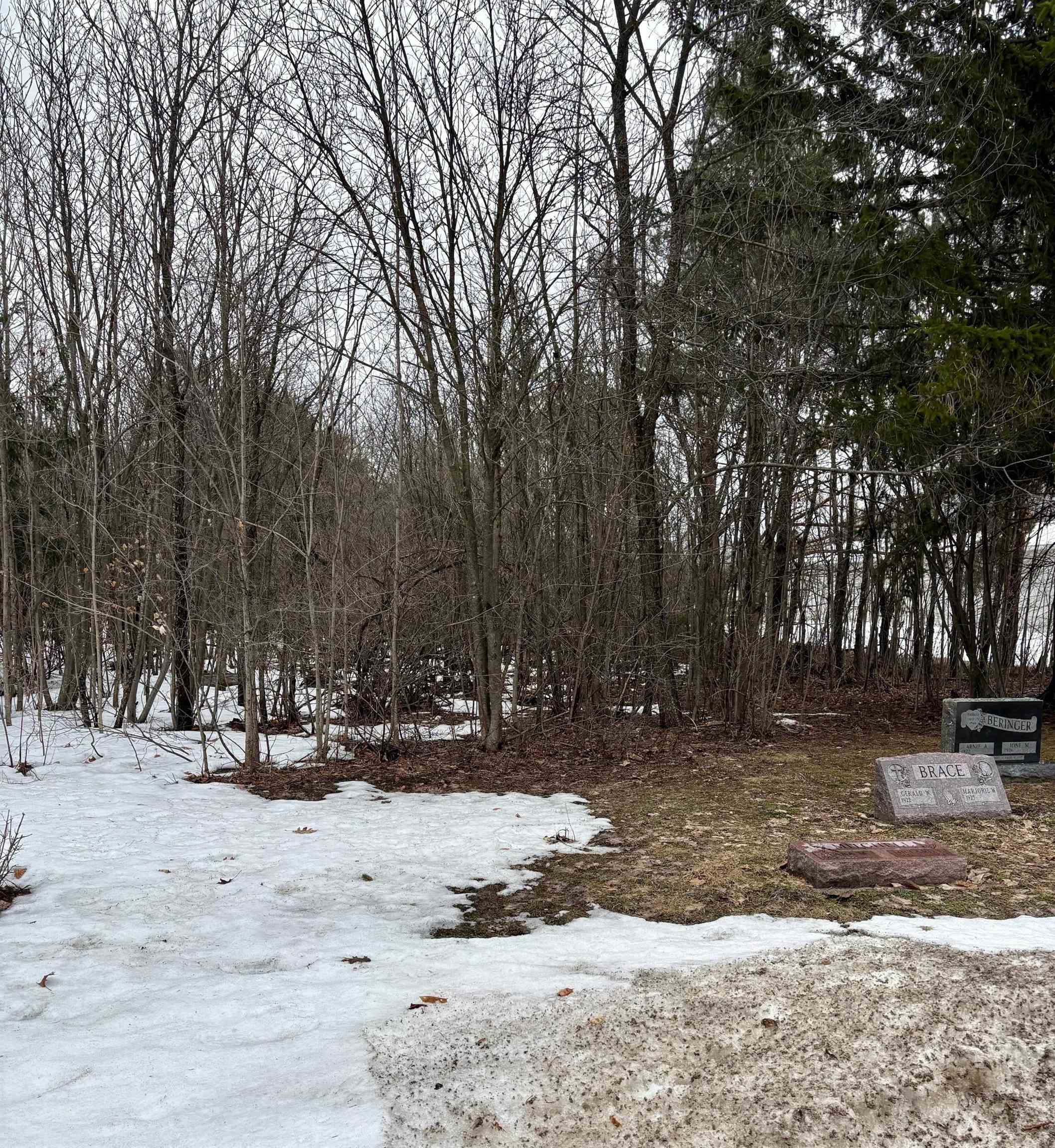 00 Cedar River Road, Mancelona, MI, 49659