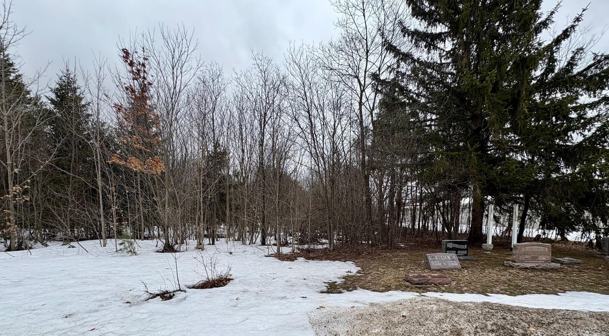 00 Cedar River Road, Mancelona, MI, 49659