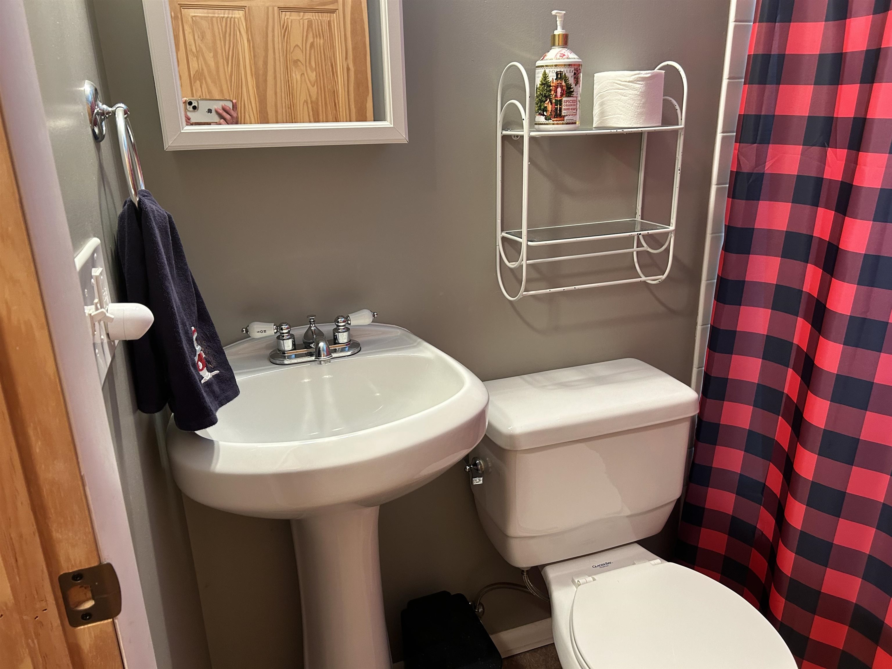 10743 Sprucedale Circle, Elmira, MI, 49730