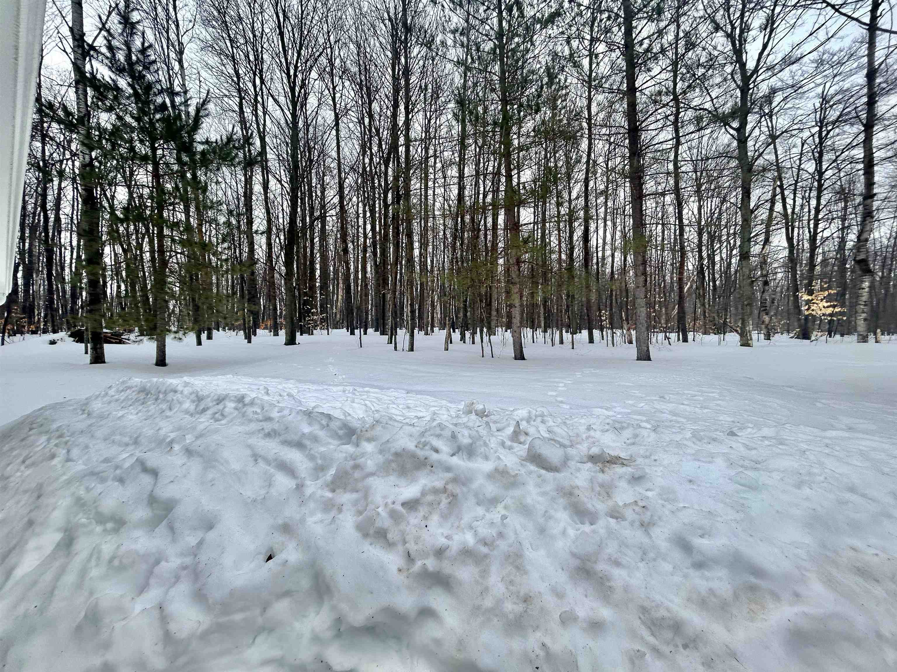 10743 Sprucedale Circle, Elmira, MI, 49730