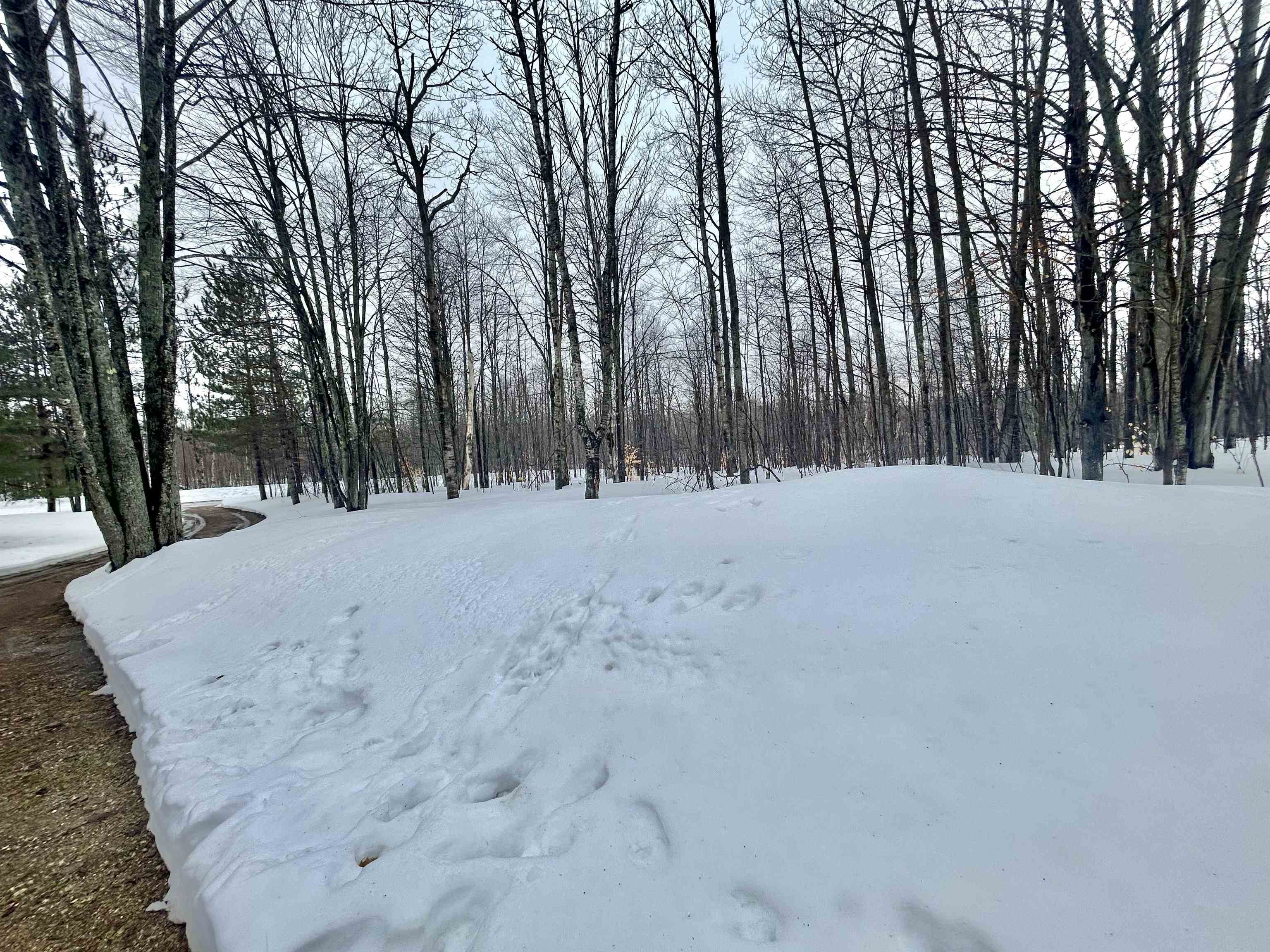 10743 Sprucedale Circle, Elmira, MI, 49730