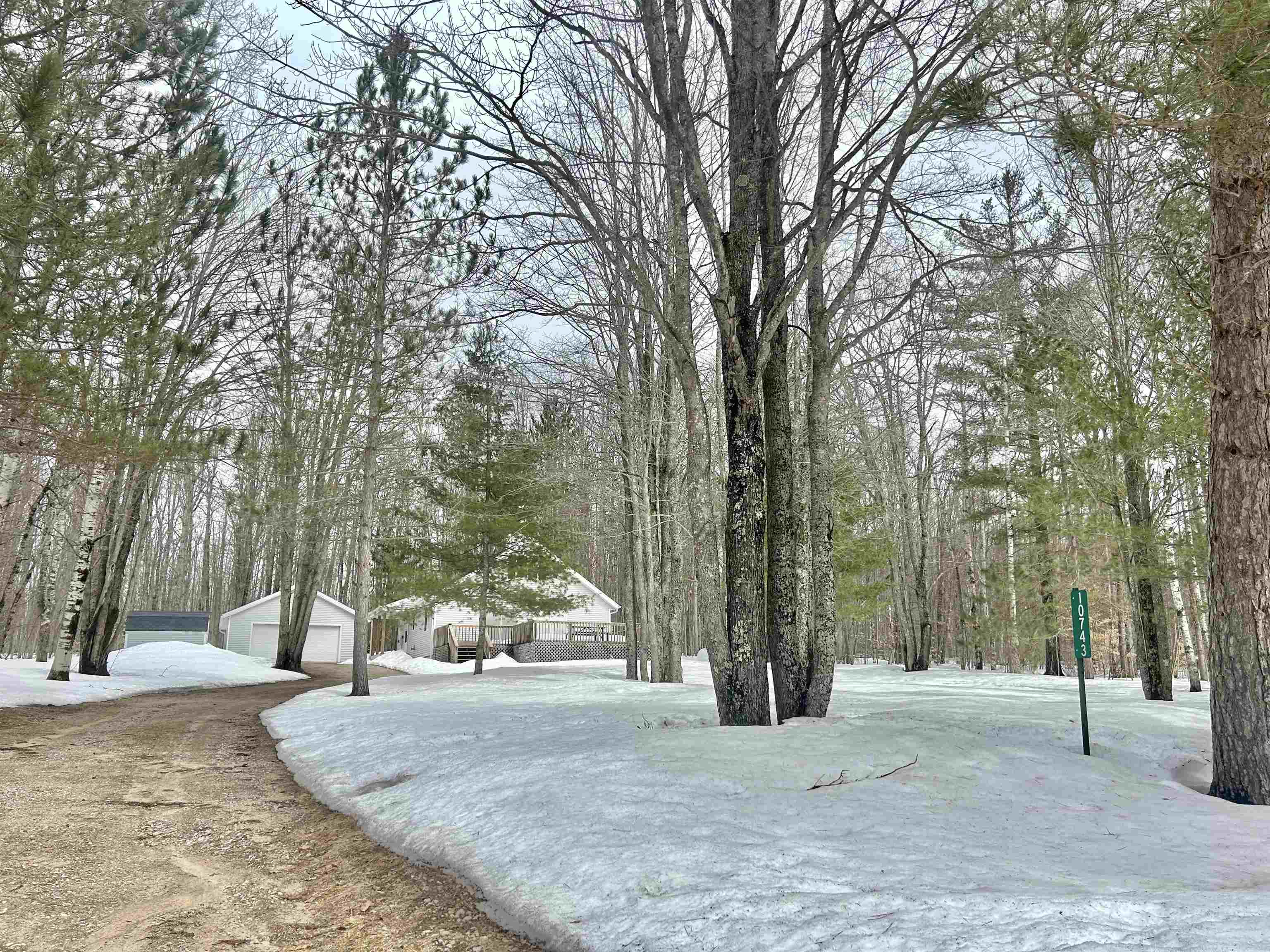 10743 Sprucedale Circle, Elmira, MI, 49730