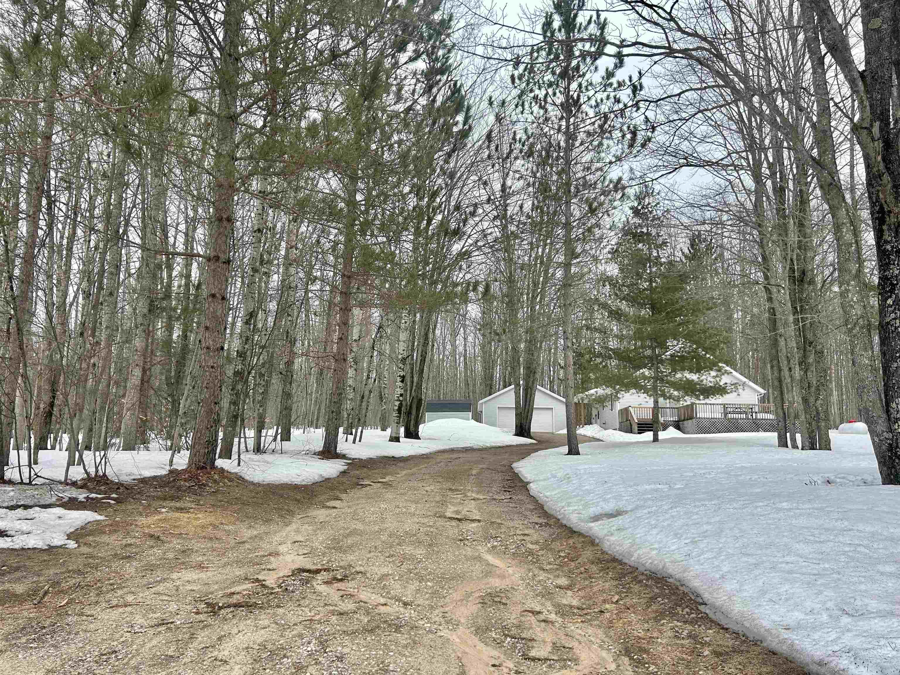 10743 Sprucedale Circle, Elmira, MI, 49730