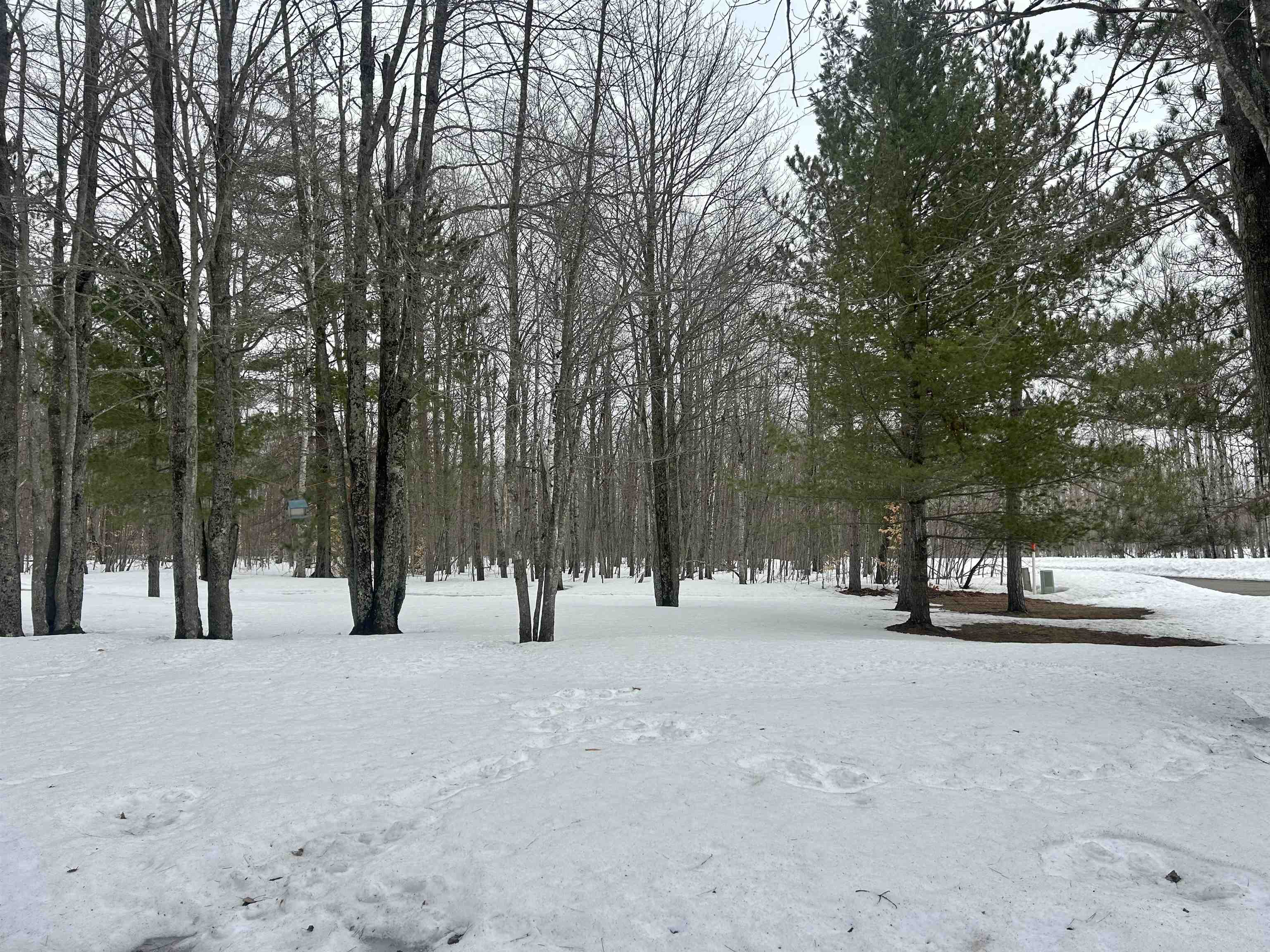 10743 Sprucedale Circle, Elmira, MI, 49730