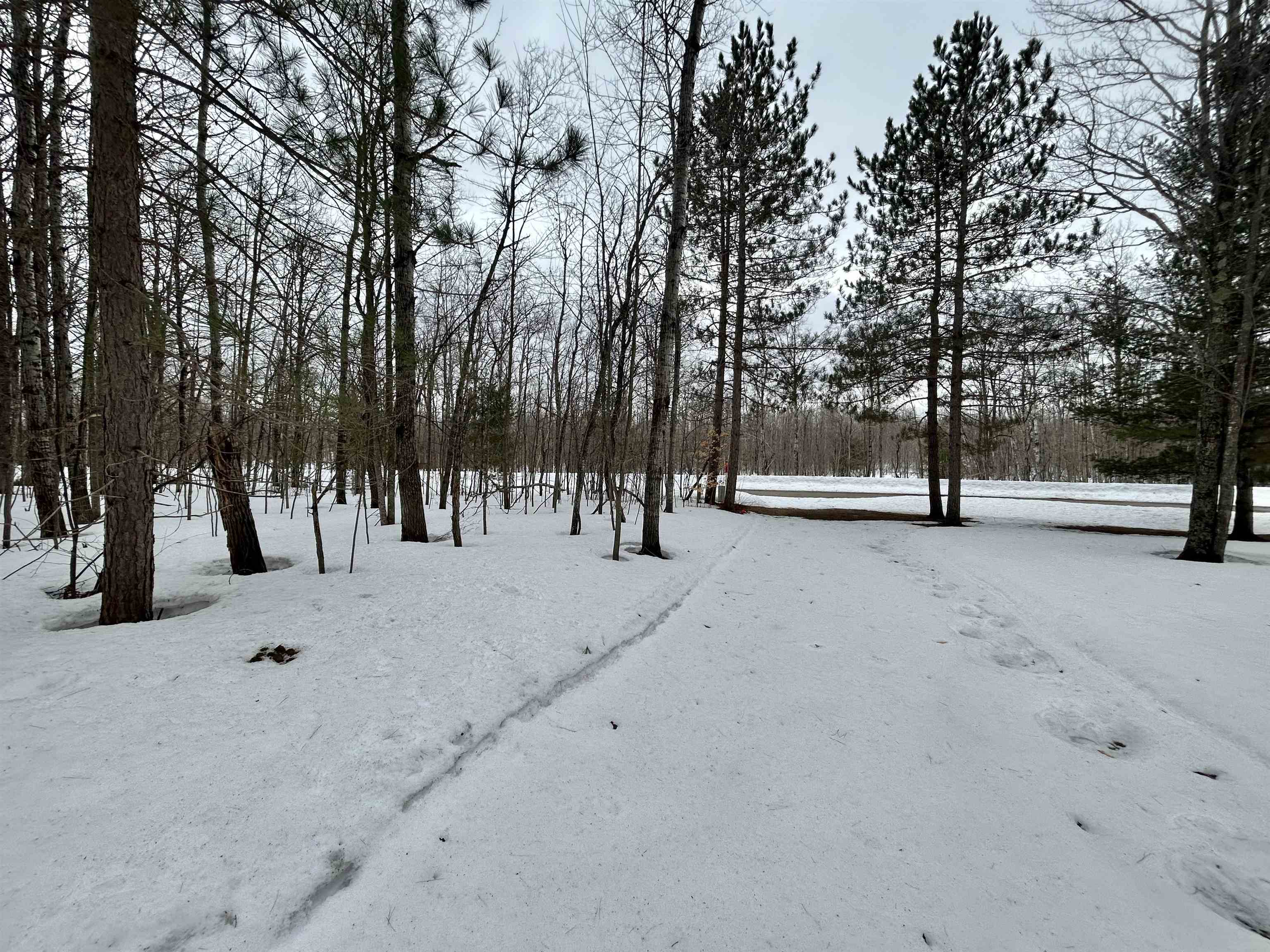 10743 Sprucedale Circle, Elmira, MI, 49730