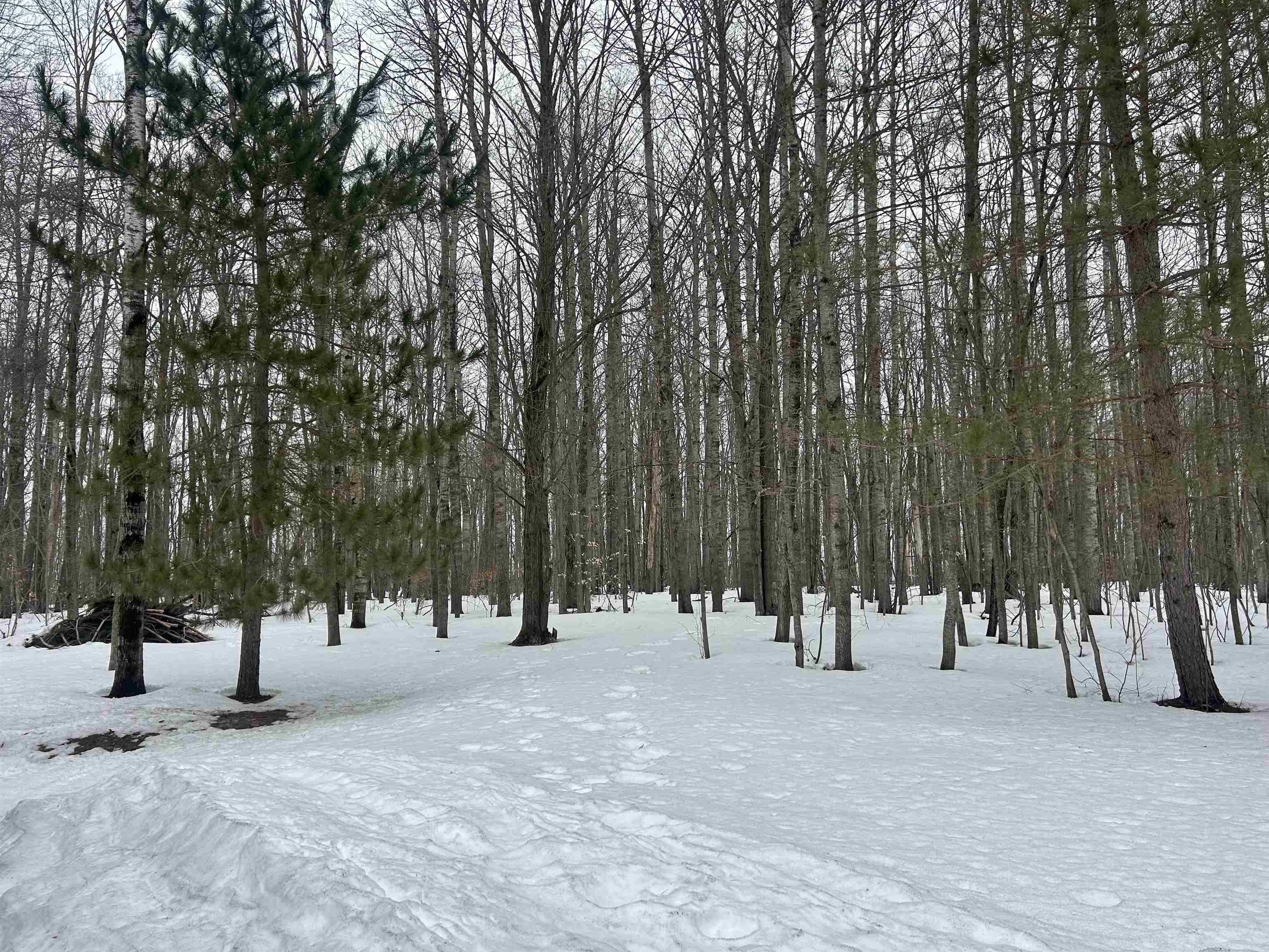 10743 Sprucedale Circle, Elmira, MI, 49730