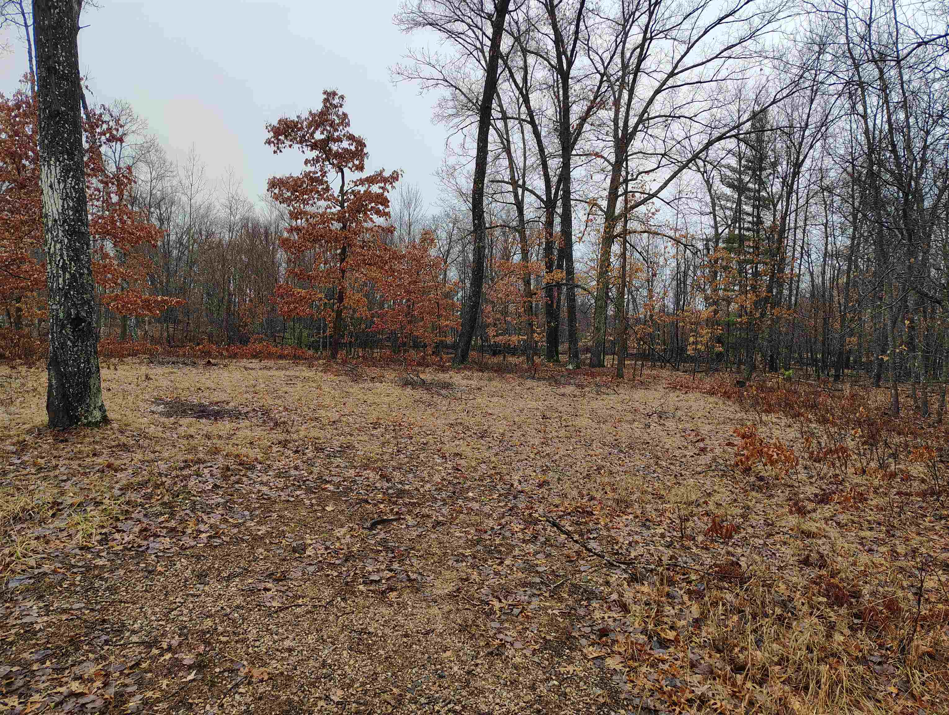 0000 Maple Road, Gladwin, MI, 48624