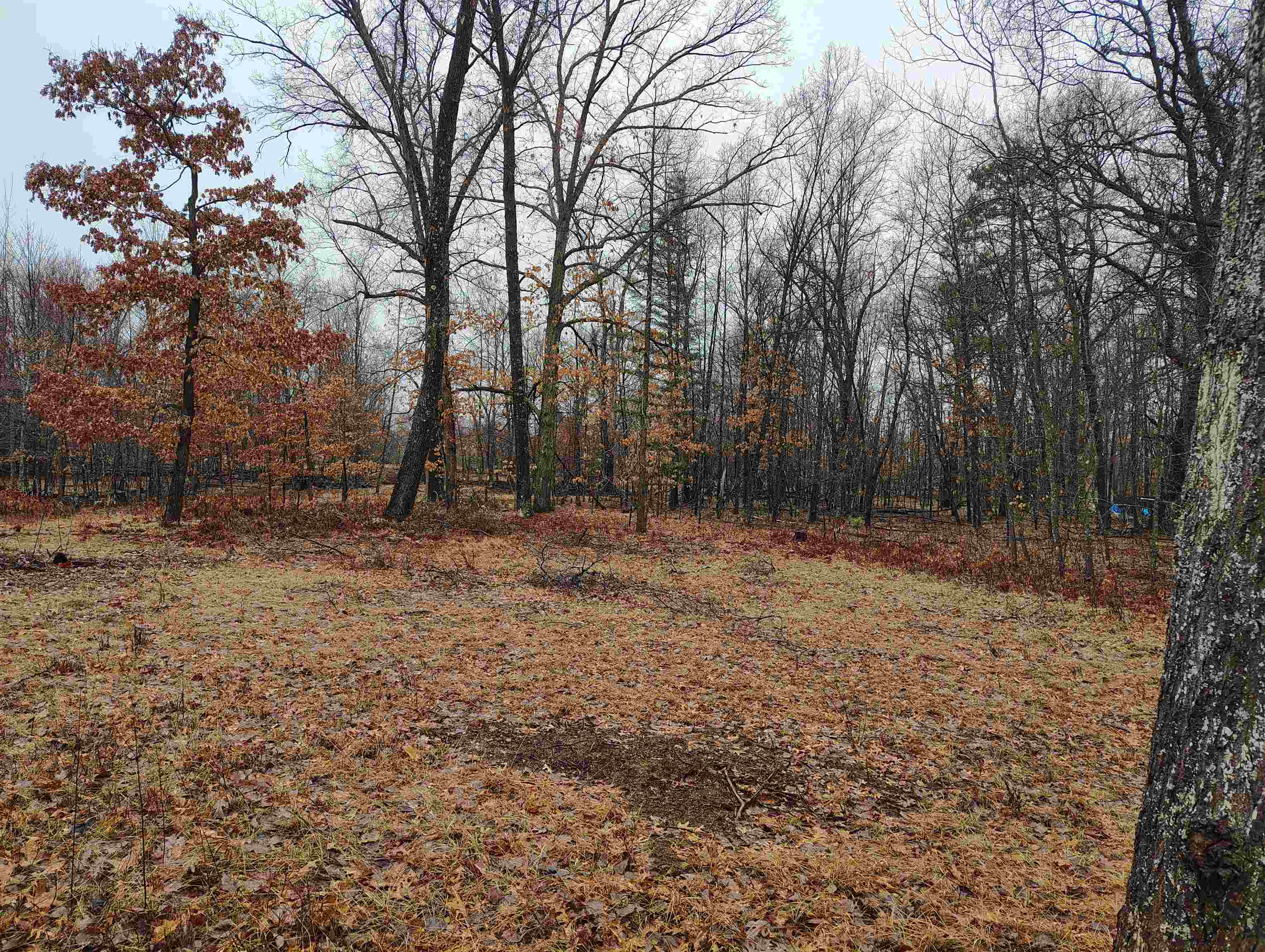 0000 Maple Road, Gladwin, MI, 48624