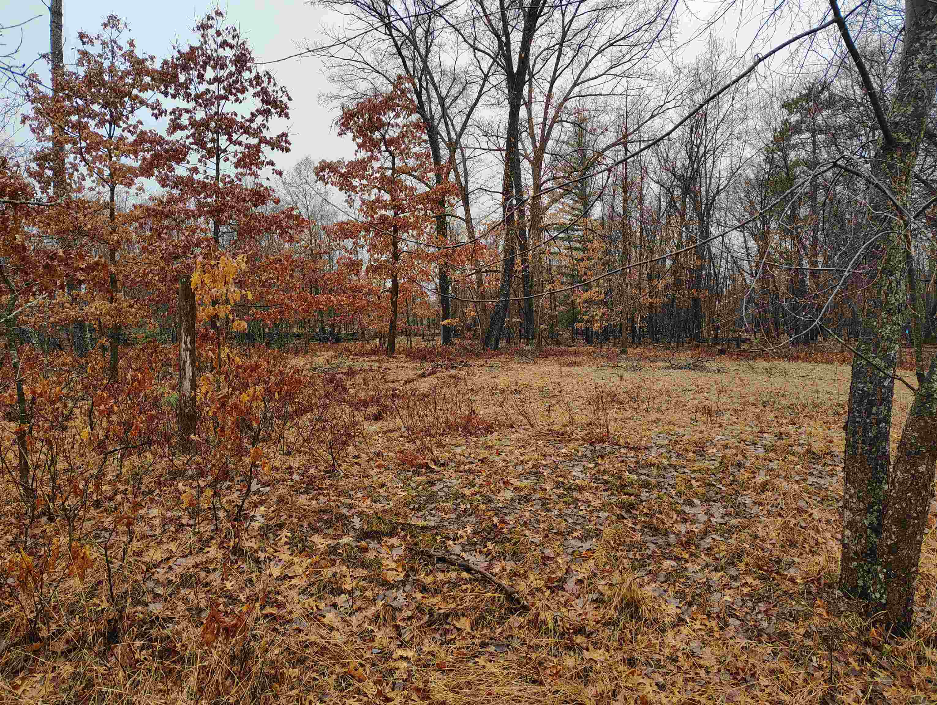 0000 Maple Road, Gladwin, MI, 48624