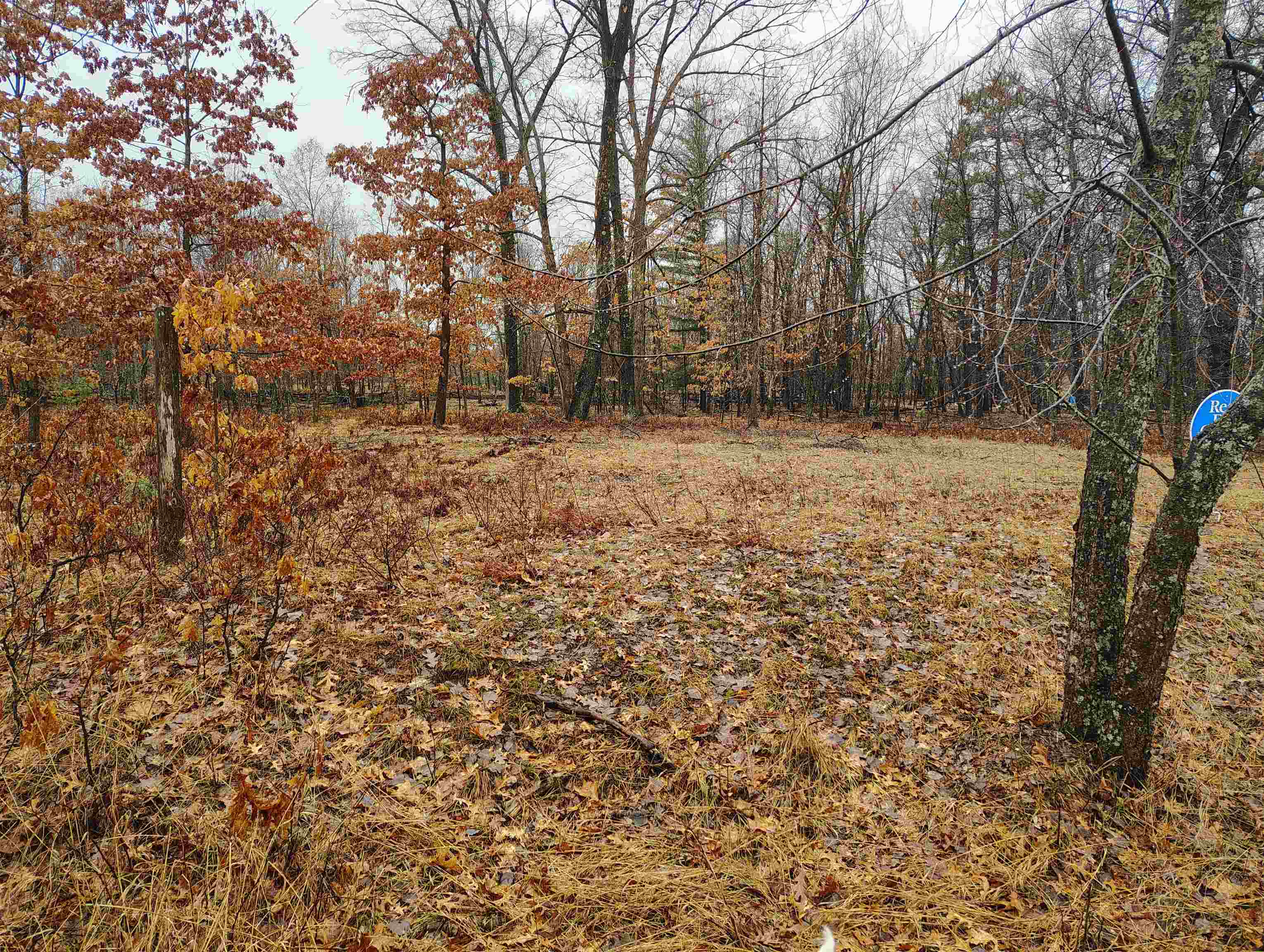 0000 Maple Road, Gladwin, MI, 48624