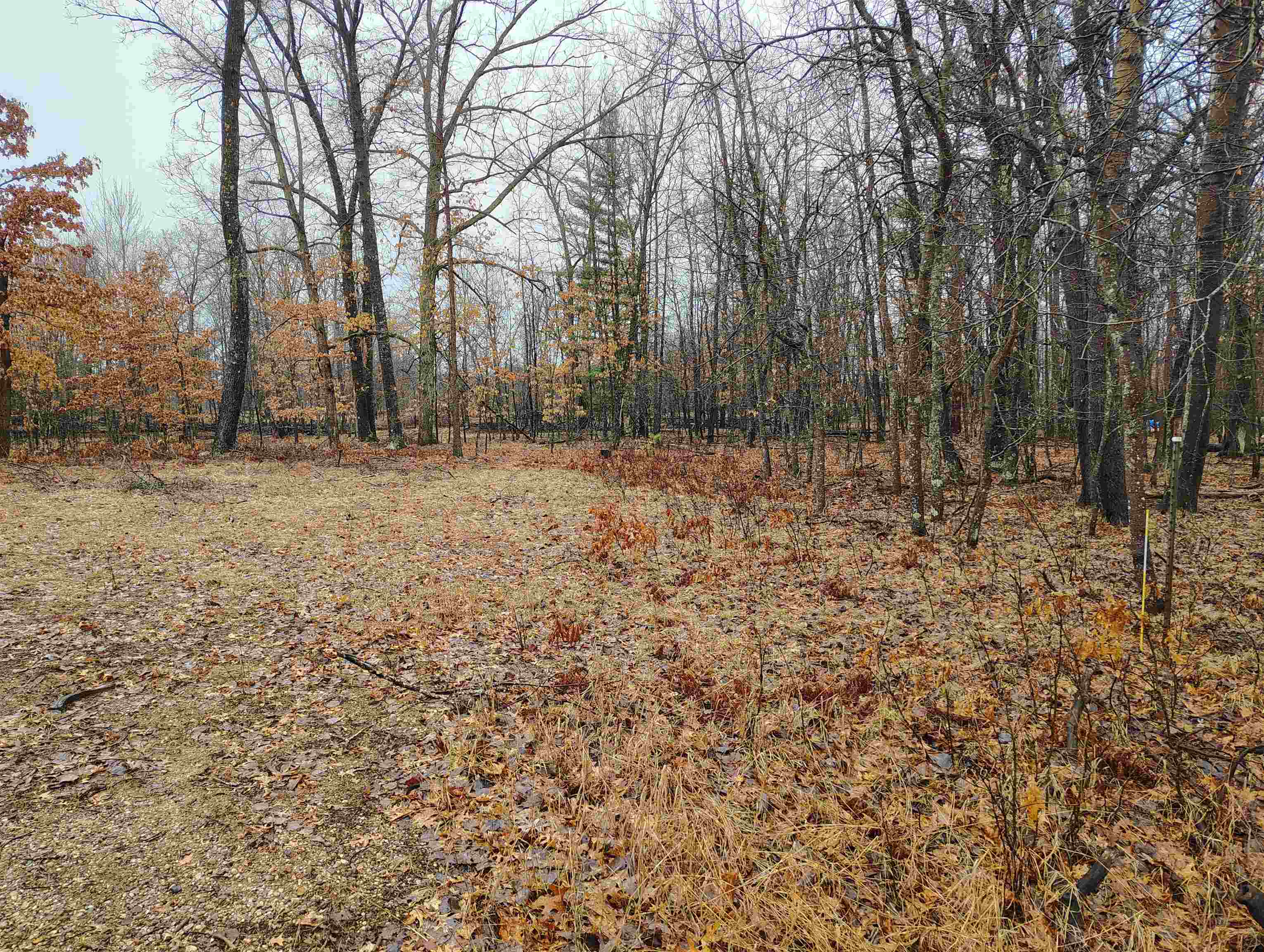 0000 Maple Road, Gladwin, MI, 48624