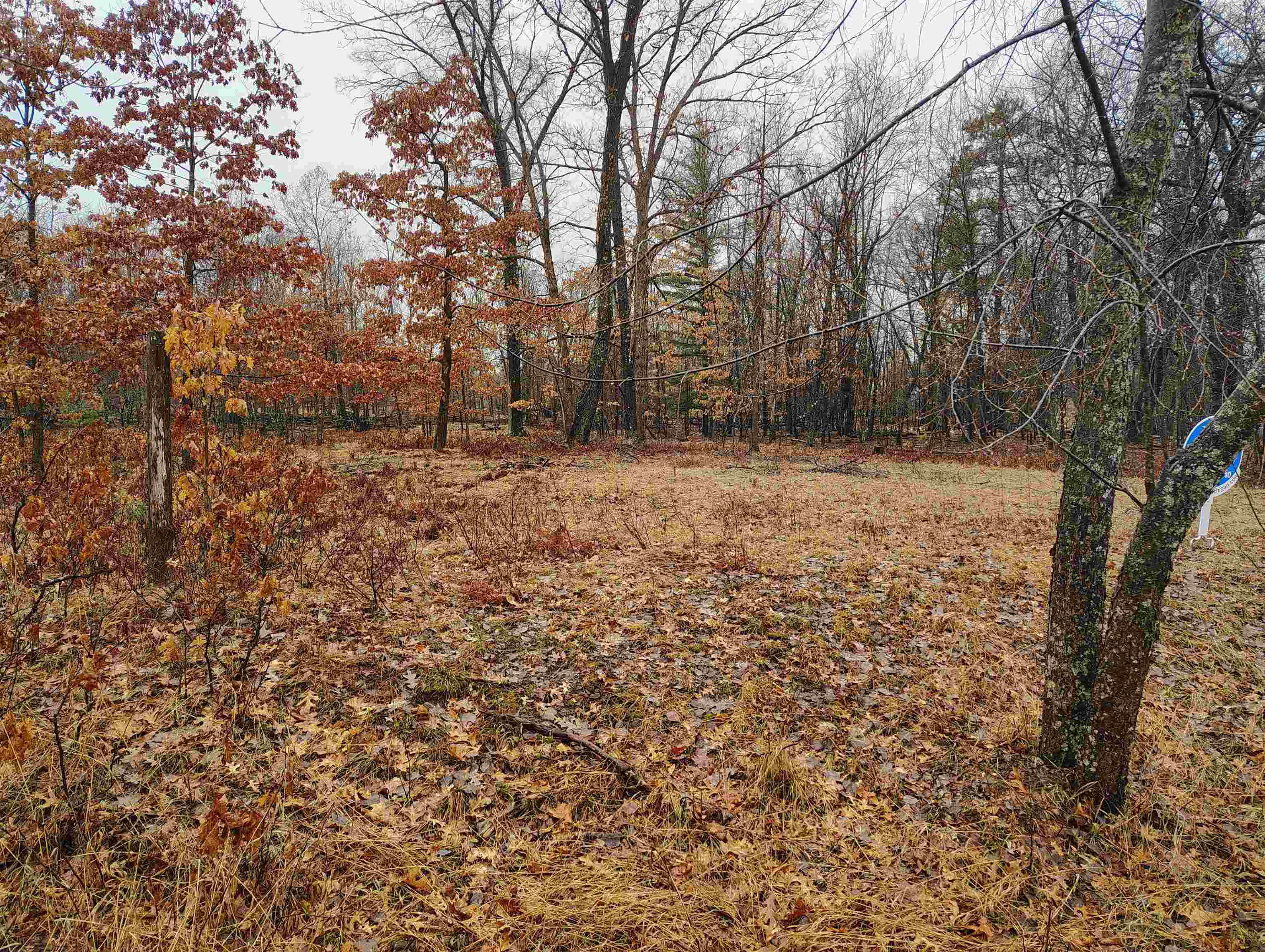 0000 Maple Road, Gladwin, MI, 48624