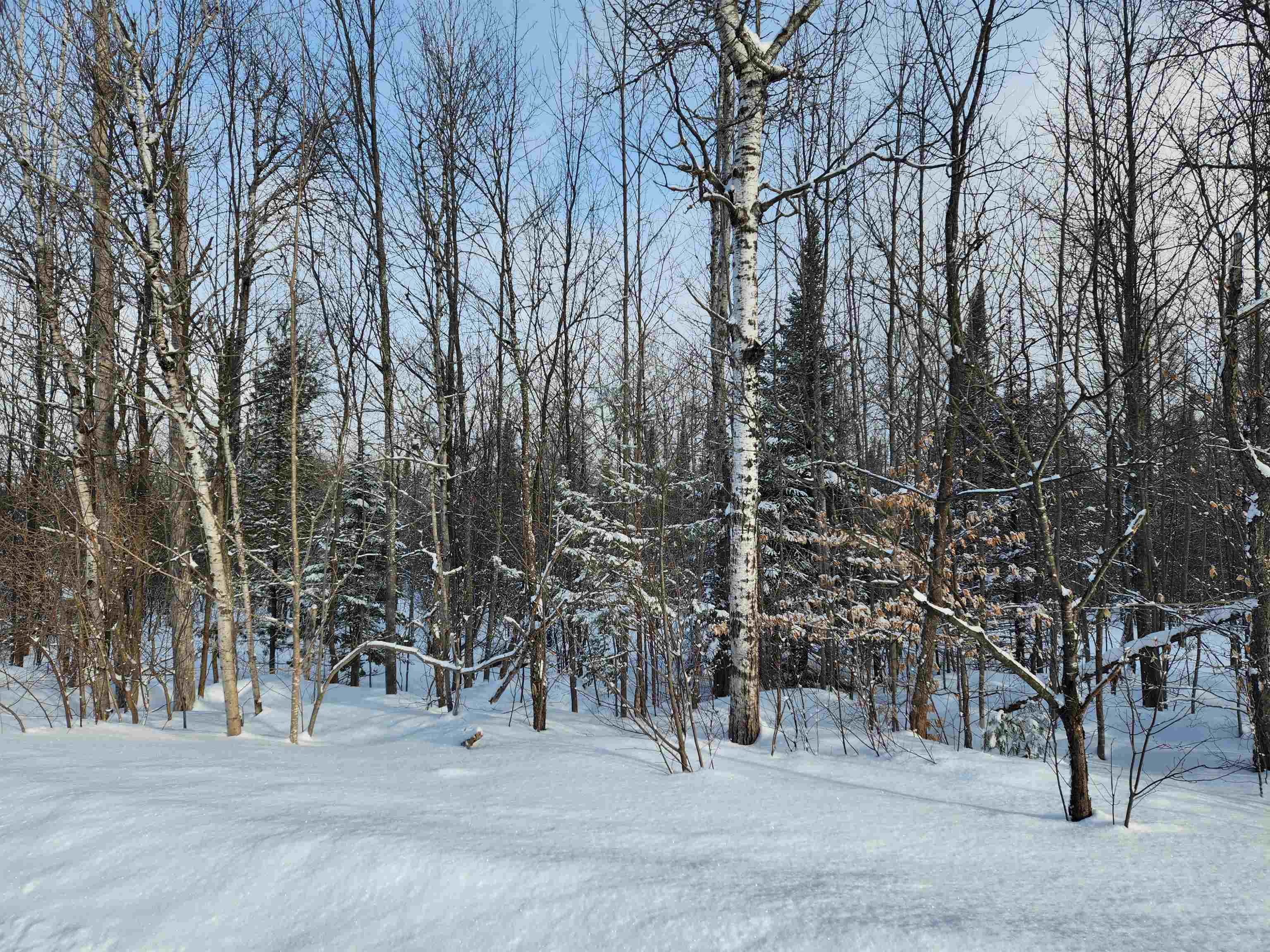 TBD Valley Road, Nw, Rapid City, MI, 49676