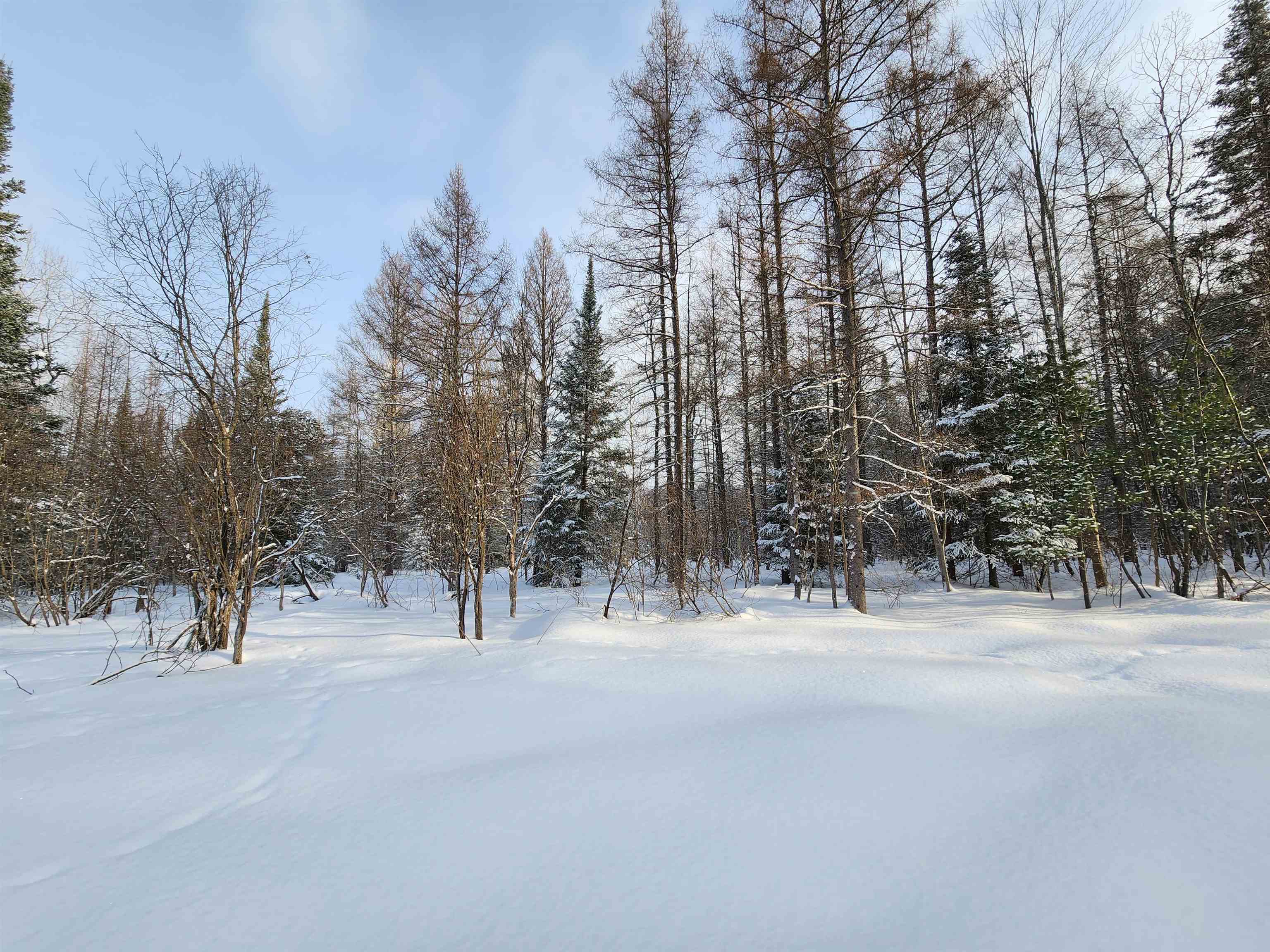 TBD Valley Road, Nw, Rapid City, MI, 49676