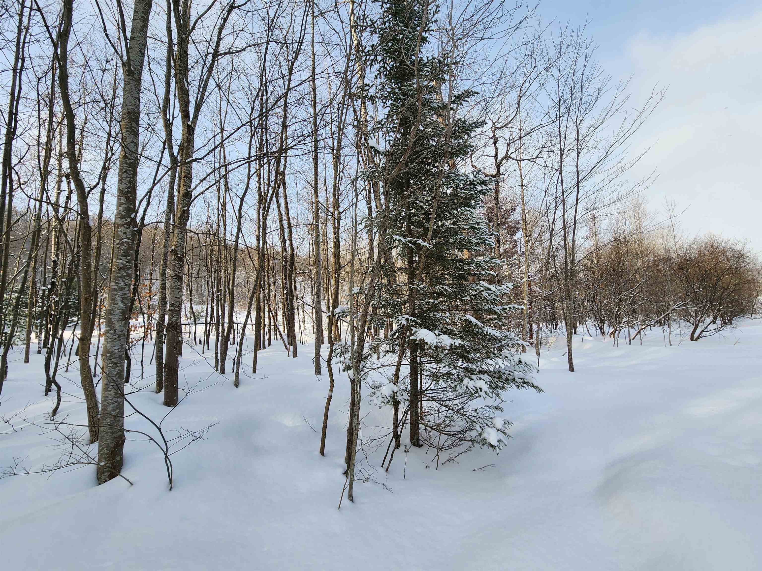 TBD Valley Road, Nw, Rapid City, MI, 49676