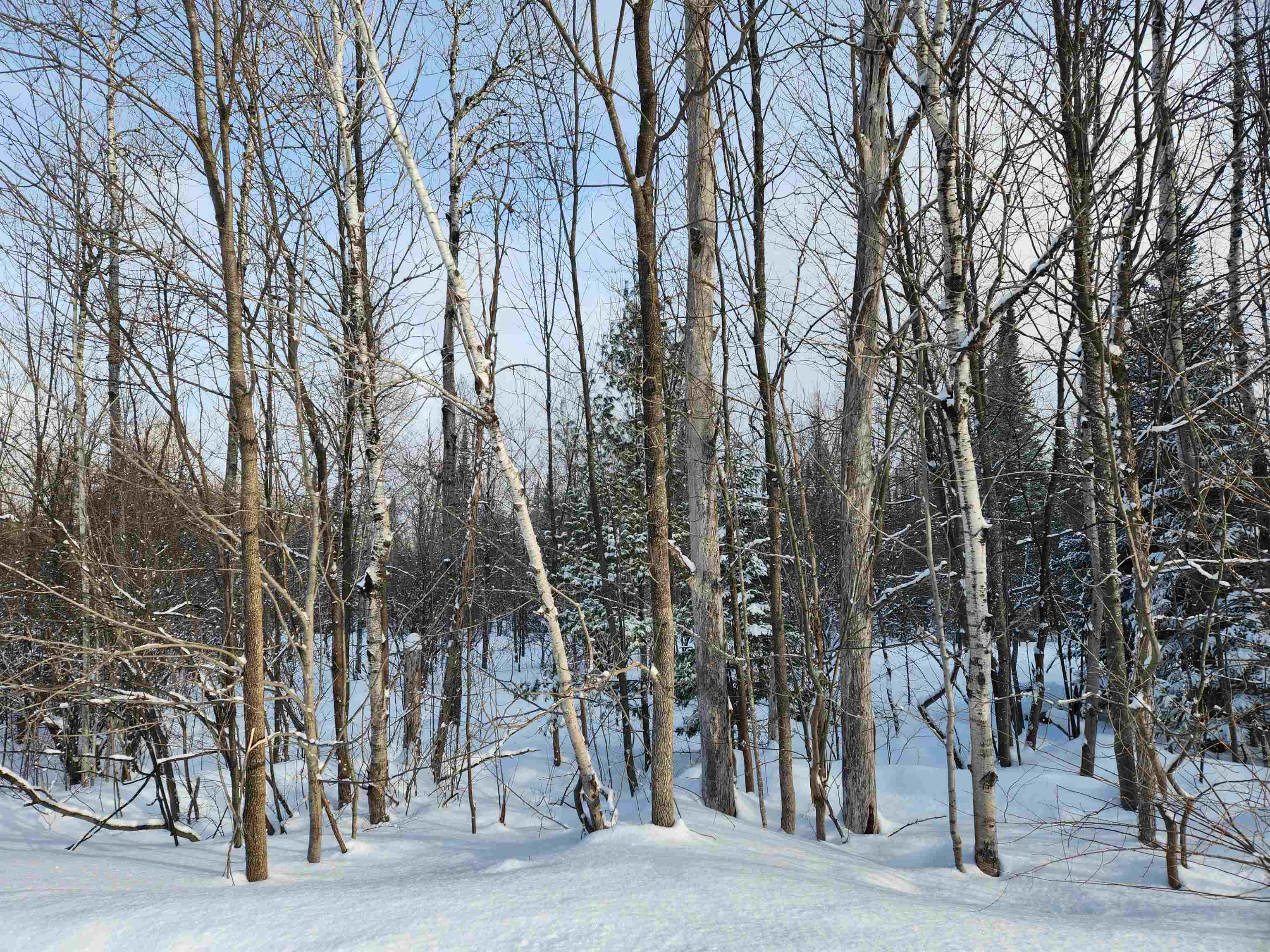 TBD Valley Road, Nw, Rapid City, MI, 49676