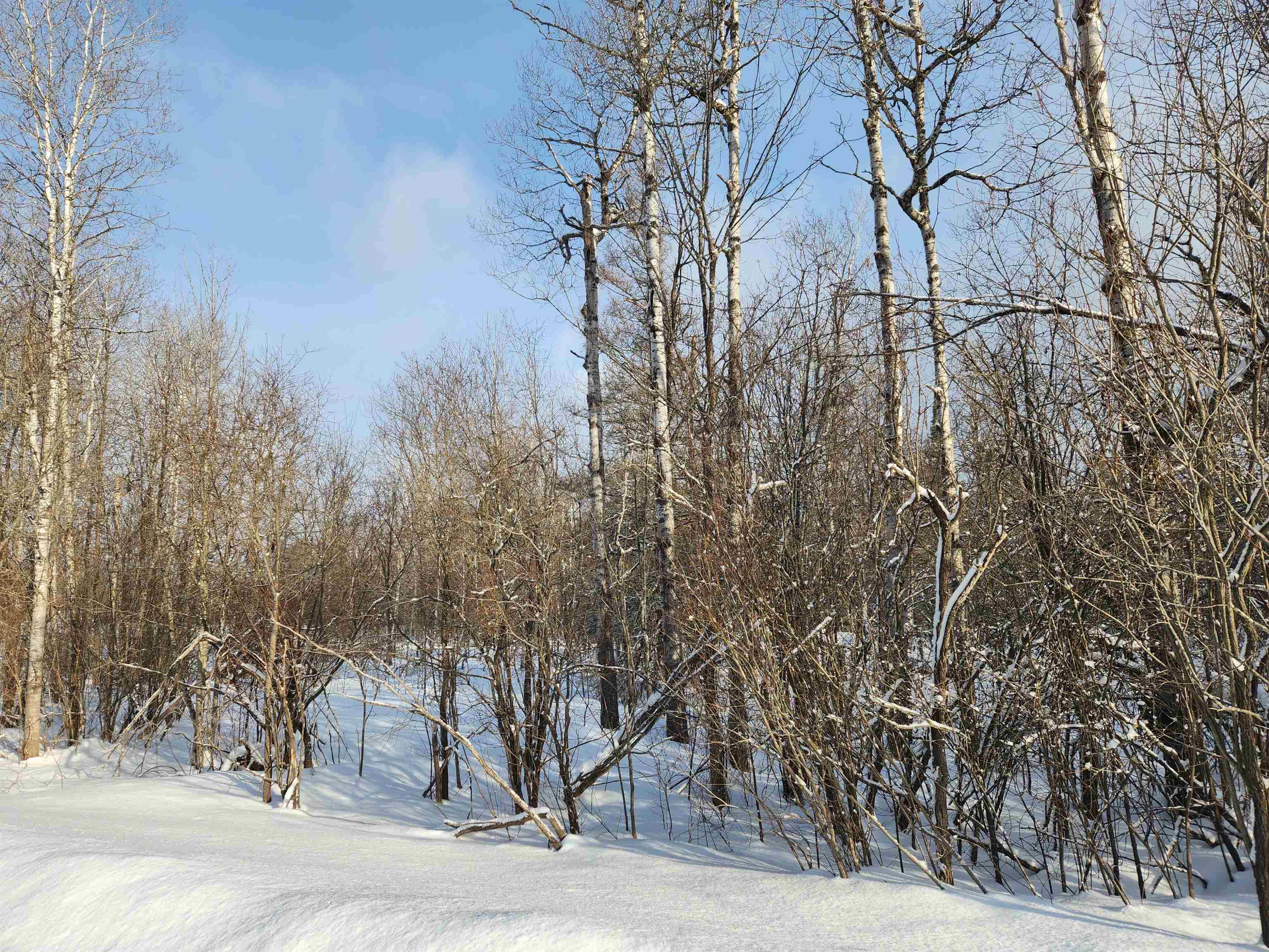 TBD Valley Road, Nw, Rapid City, MI, 49676