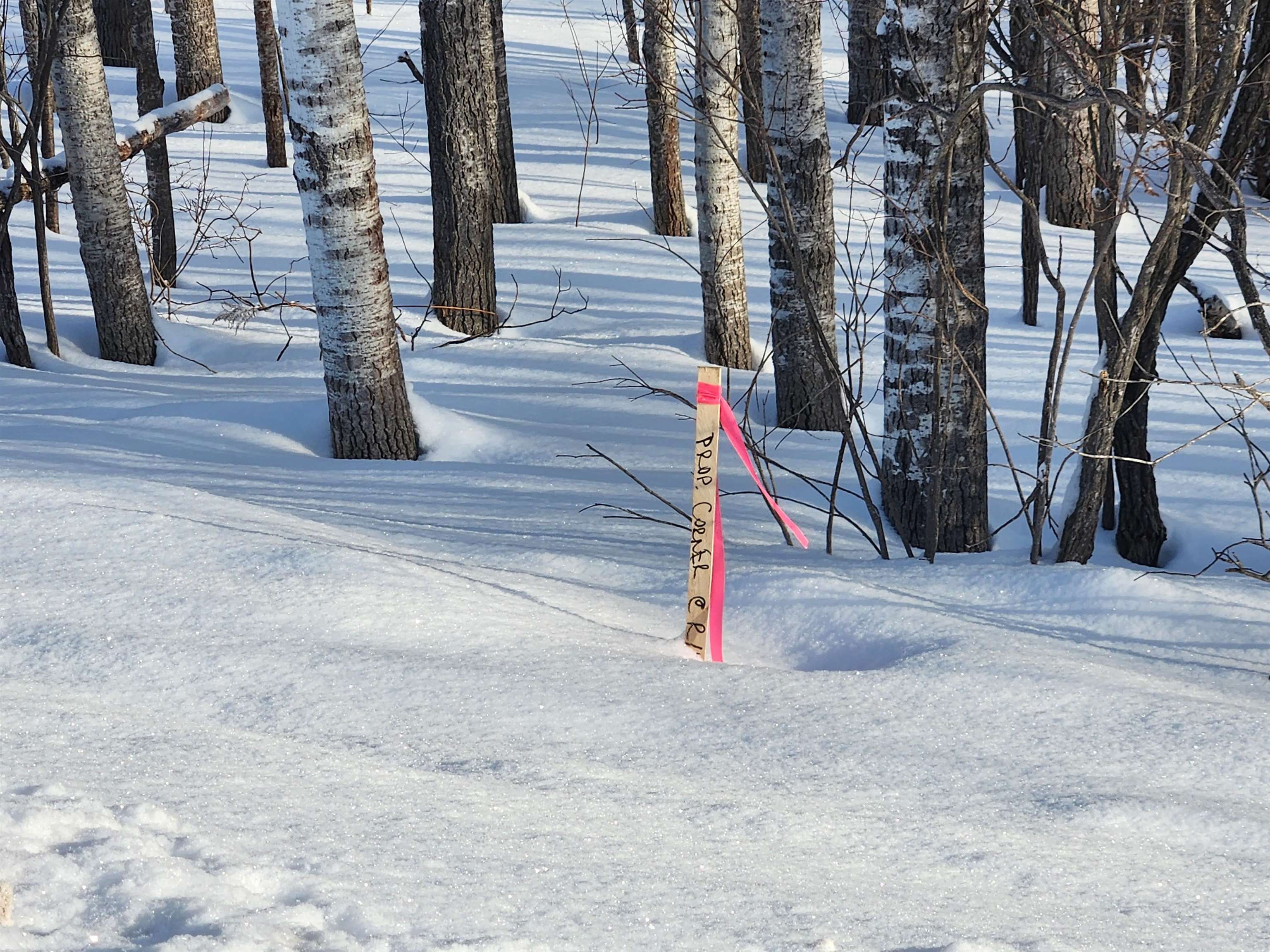 TBD Valley Road, Nw, Rapid City, MI, 49676