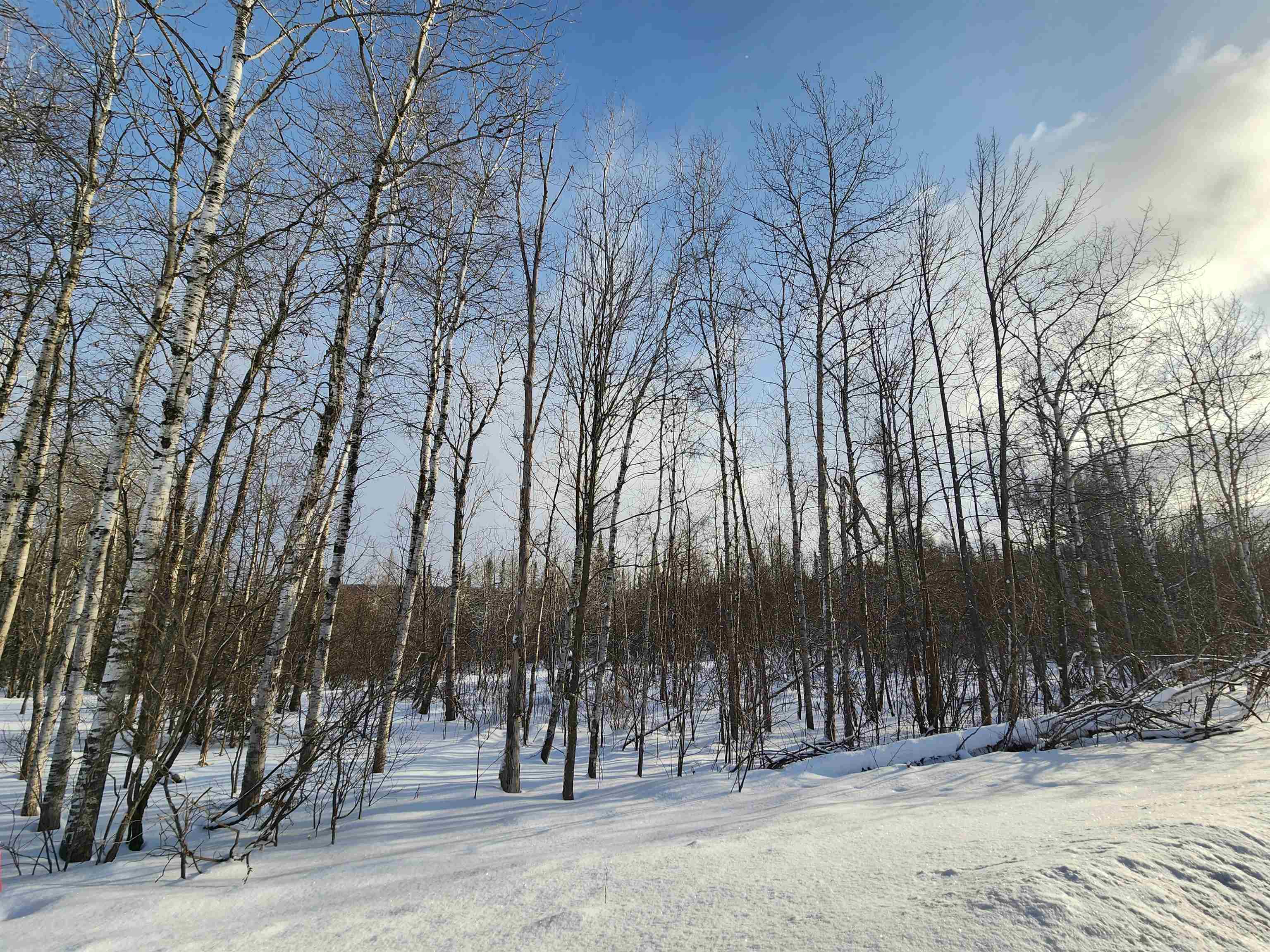 TBD Valley Road, Nw, Rapid City, MI, 49676