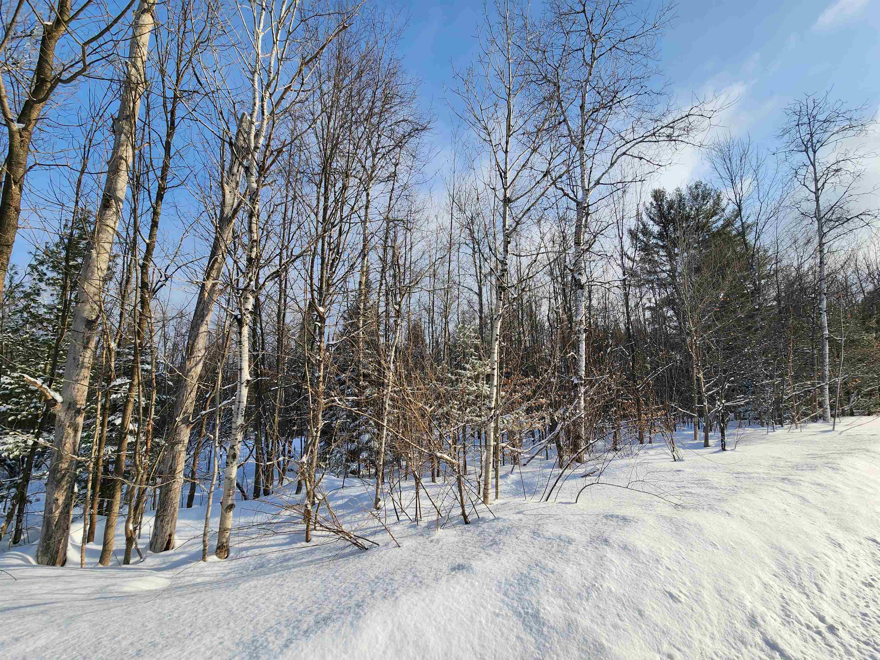 TBD Valley Road, Nw, Rapid City, MI, 49676