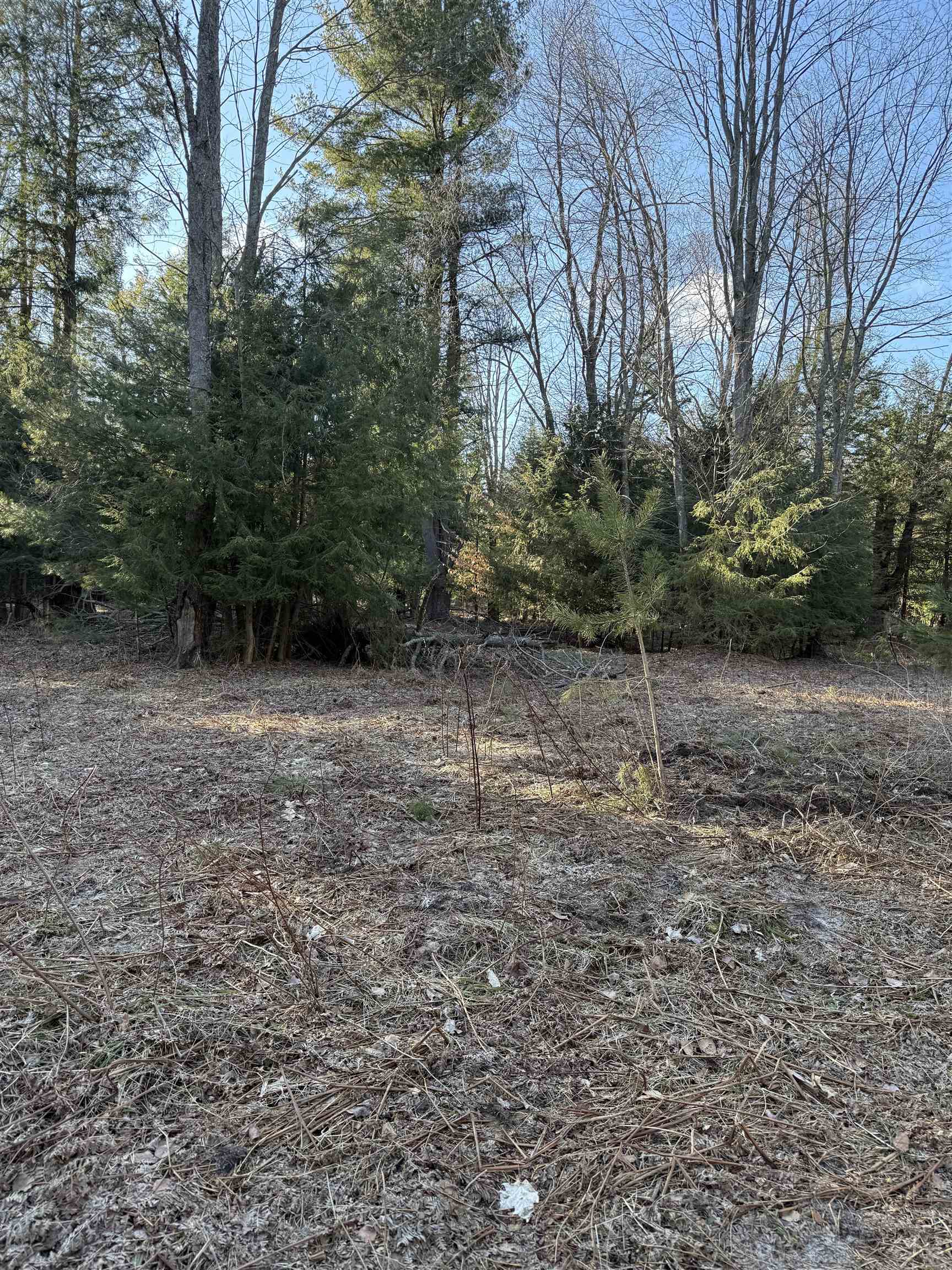 00 Demerly Road, Benzonia, MI, 49616