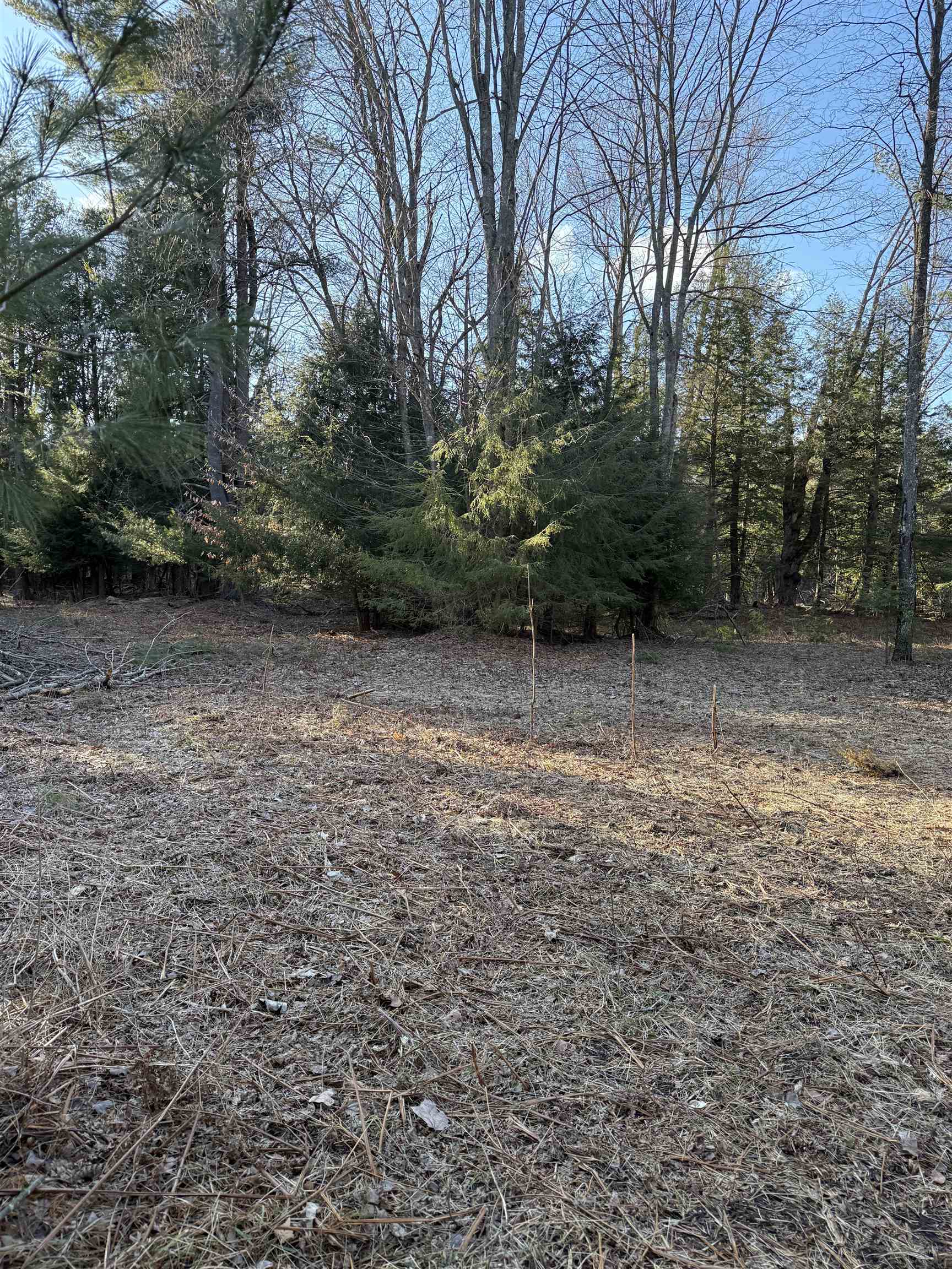 00 Demerly Road, Benzonia, MI, 49616