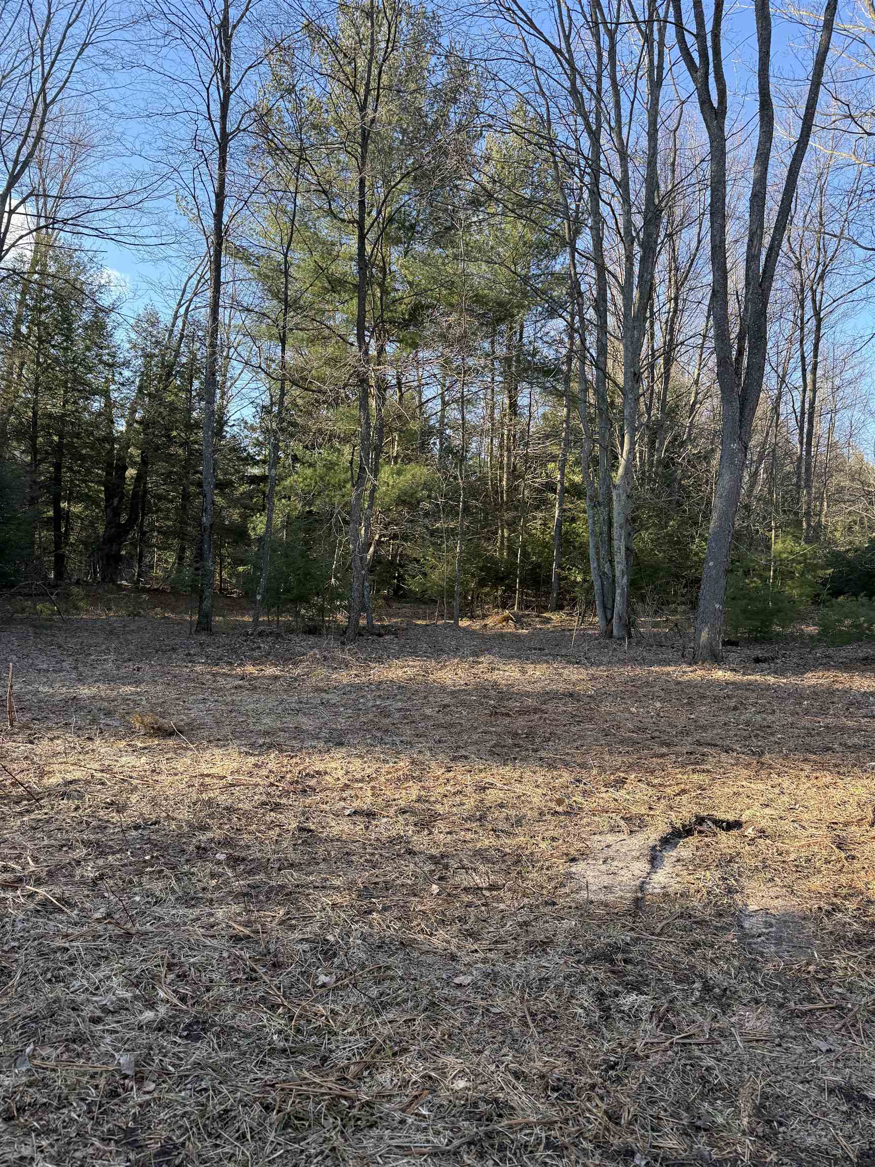 00 Demerly Road, Benzonia, MI, 49616