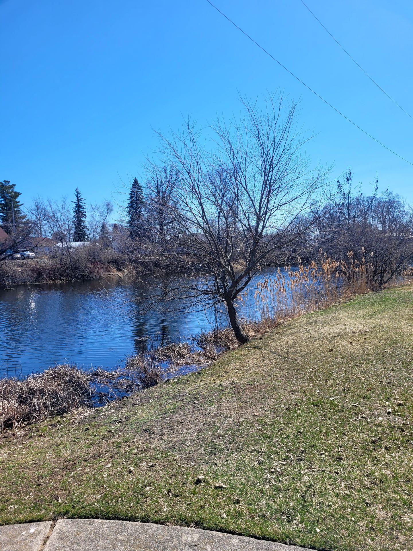 145 Ottawa Drive UNIT&nbsp;Lot: 20, Oscoda, MI, 48750