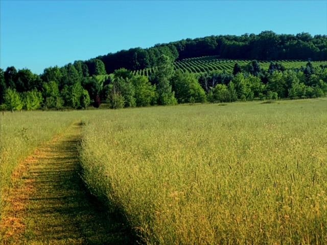 3362 S French Road, Cedar, MI, 49621