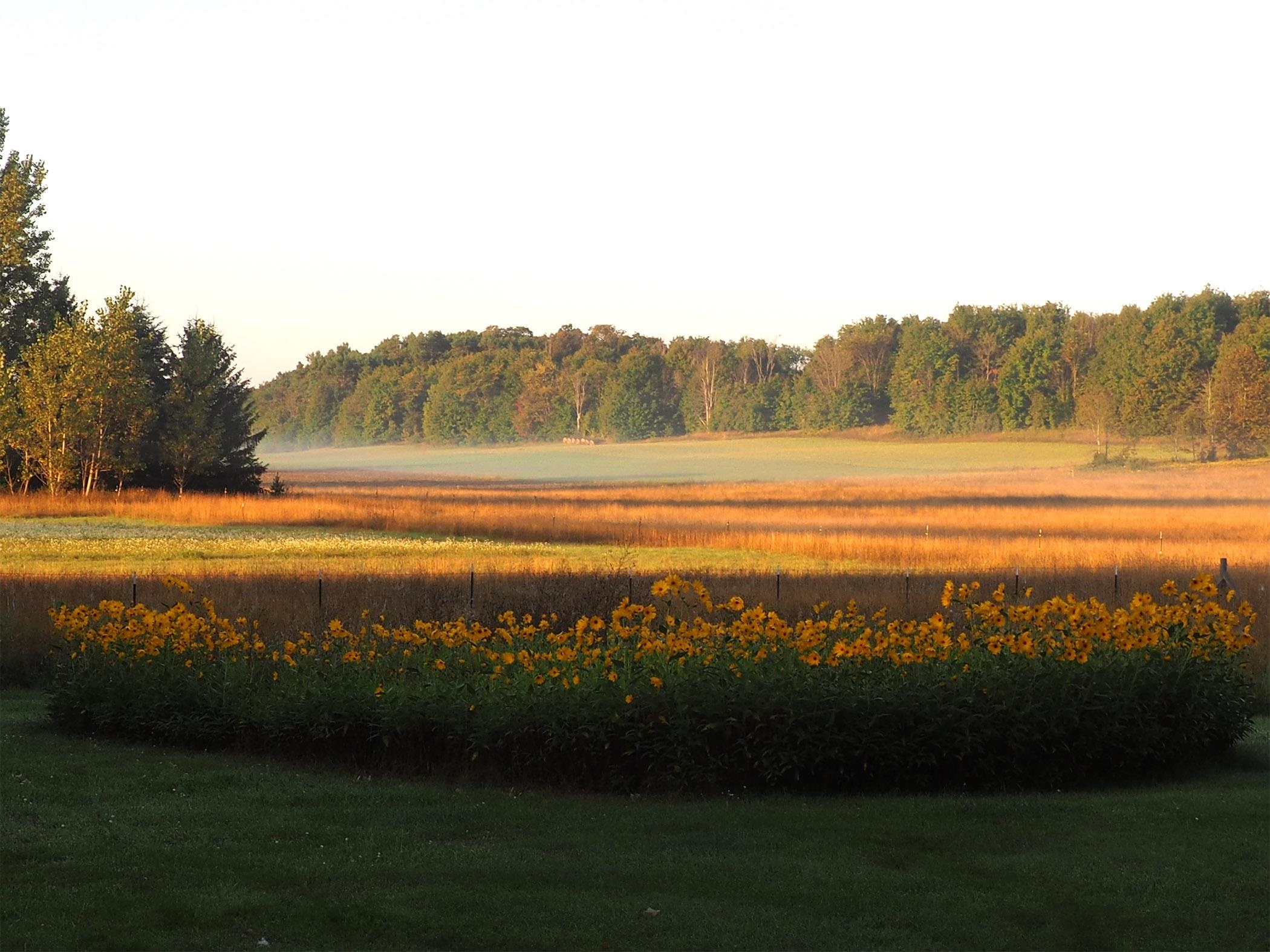 3362 S French Road, Cedar, MI, 49621