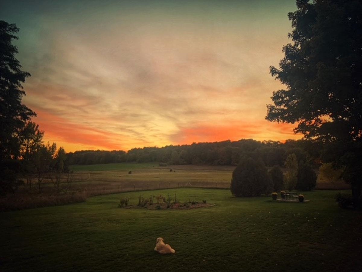 3362 S French Road, Cedar, MI, 49621