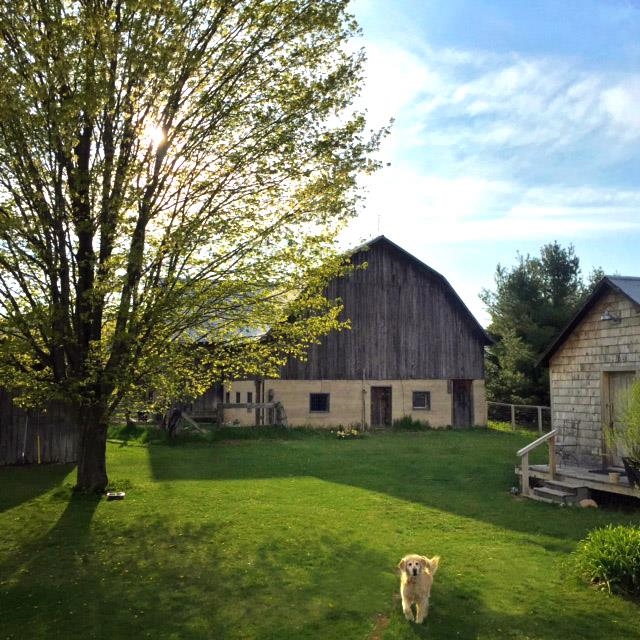 3362 S French Road, Cedar, MI, 49621