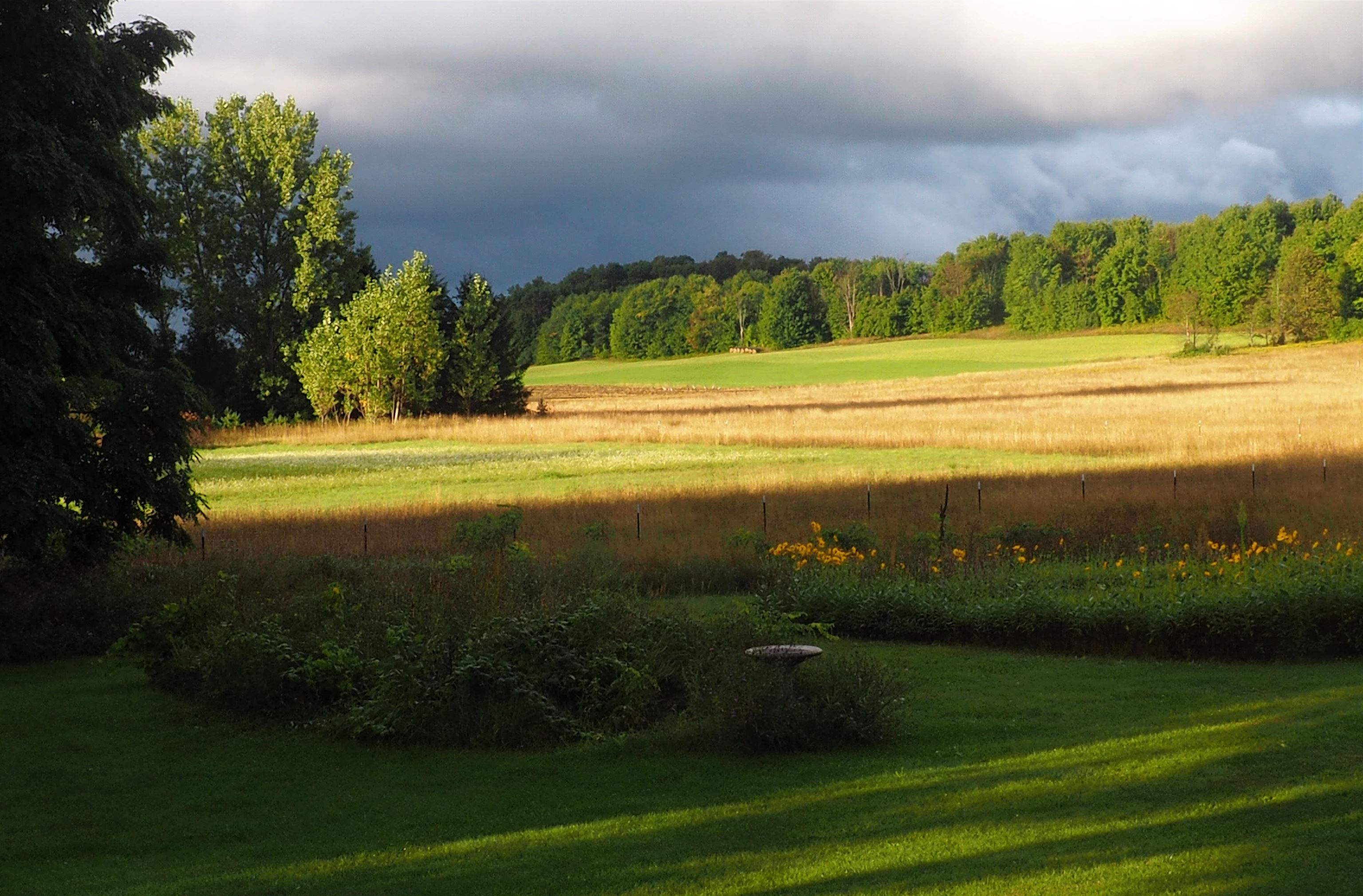 3362 S French Road, Cedar, MI, 49621