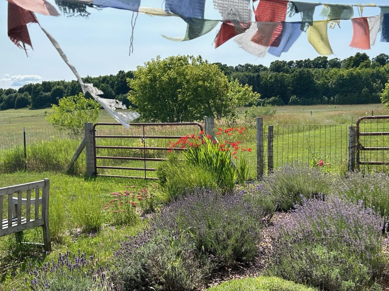 3362 S French Road, Cedar, MI, 49621