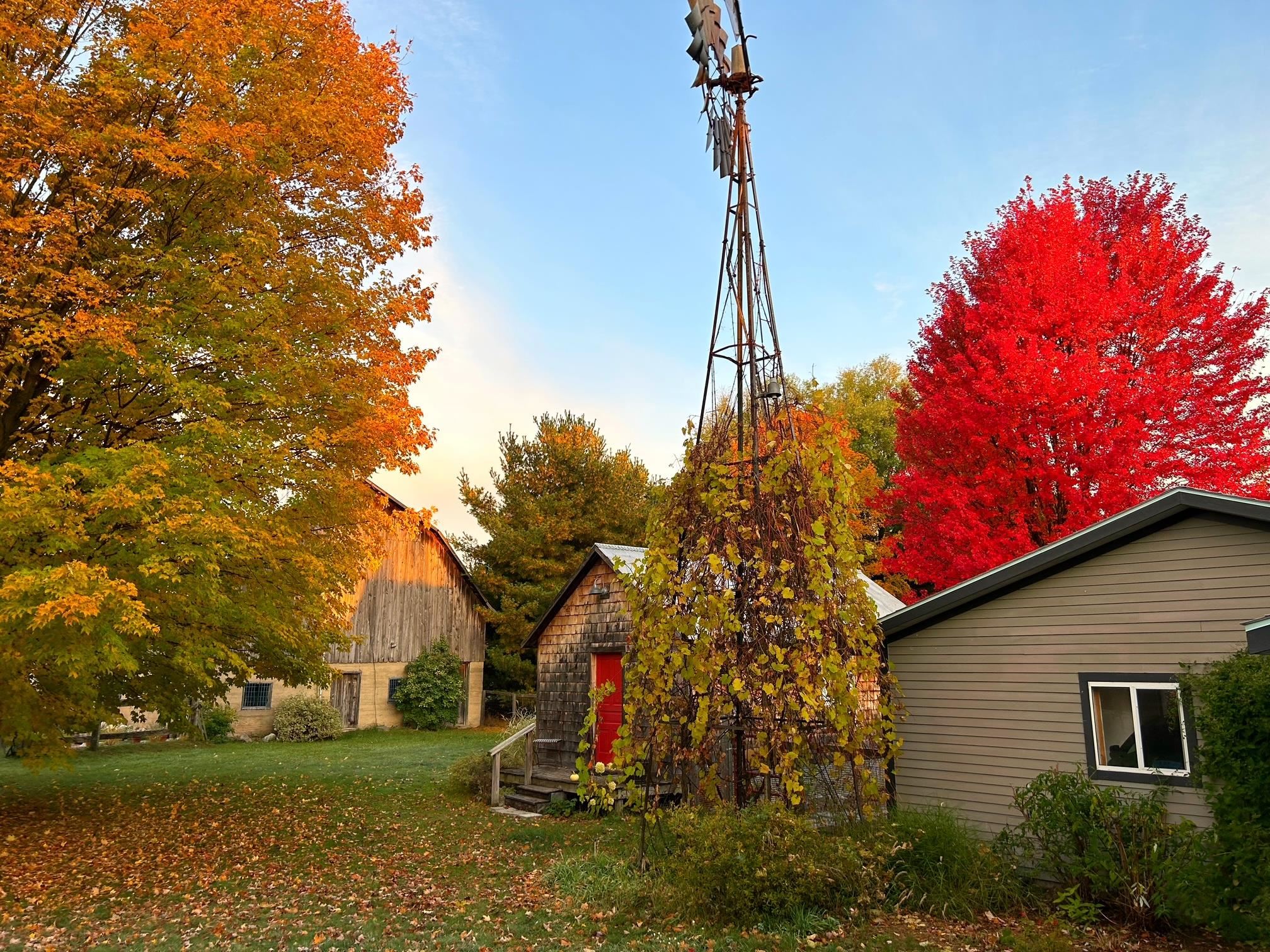 3362 S French Road, Cedar, MI, 49621